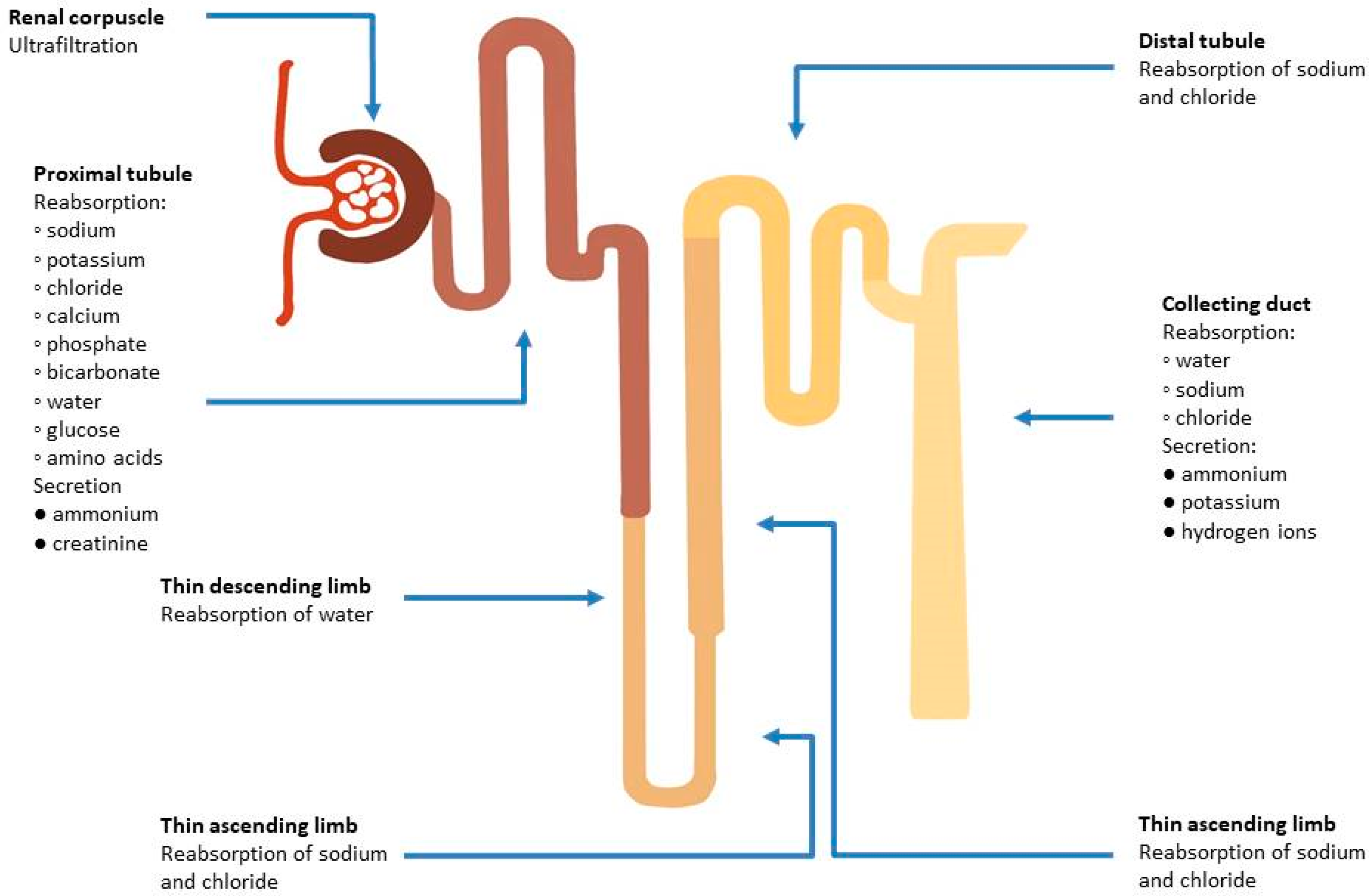 Biomolecules 13 00239 g002 Biomolecules 13 00239 g002