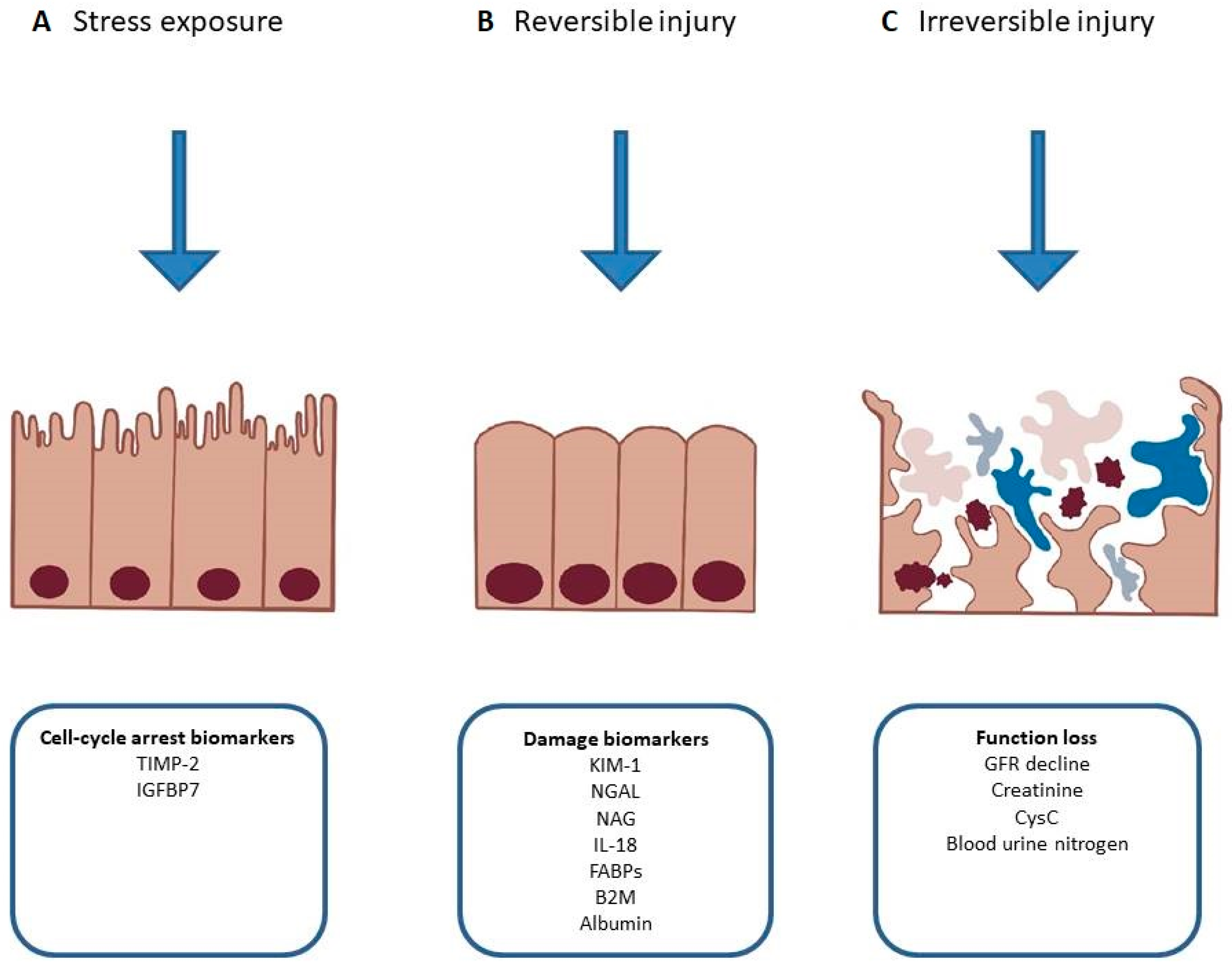 Biomolecules 13 00239 g003 Biomolecules 13 00239 g003
