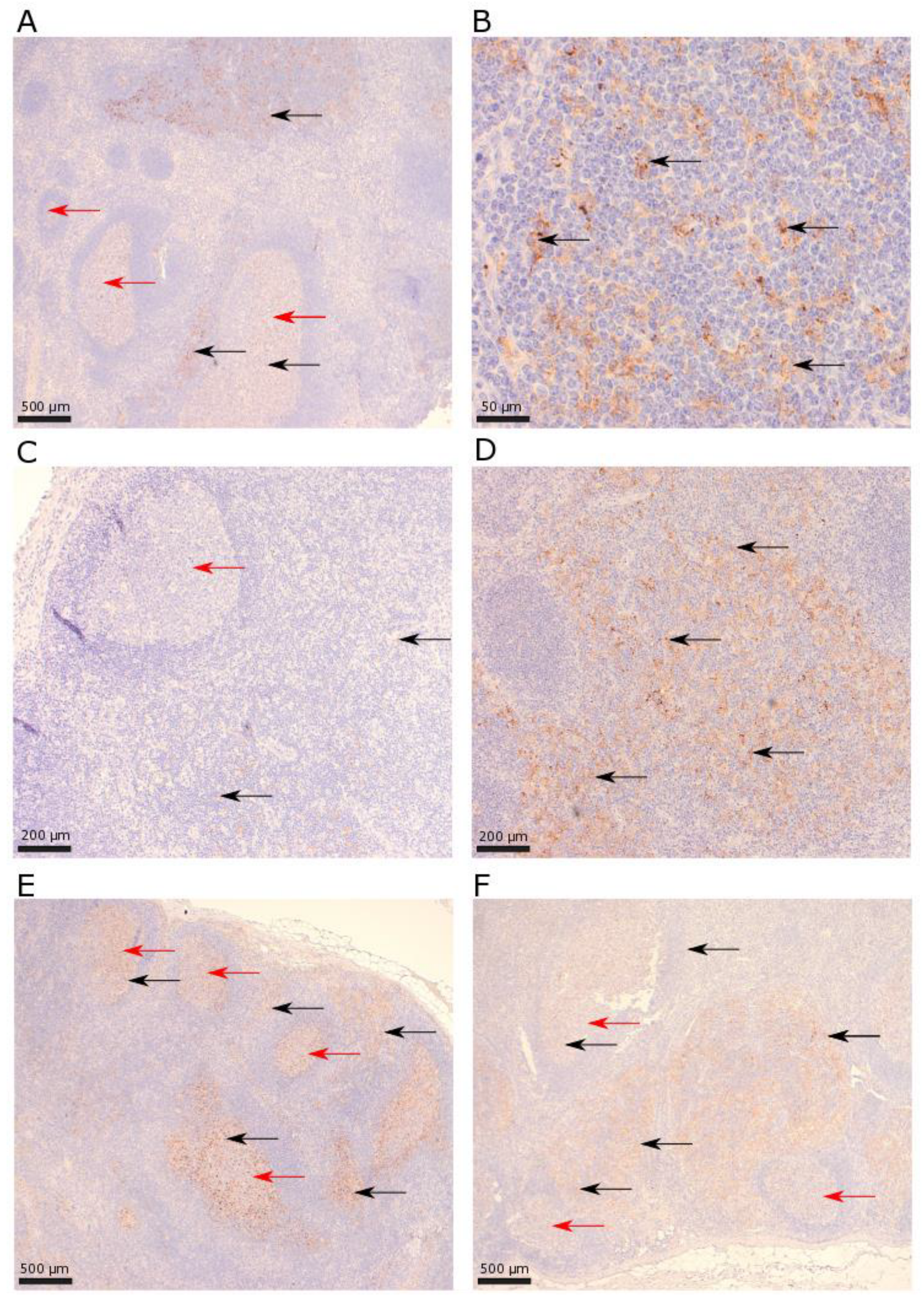 Biomolecules 13 00240 g003
