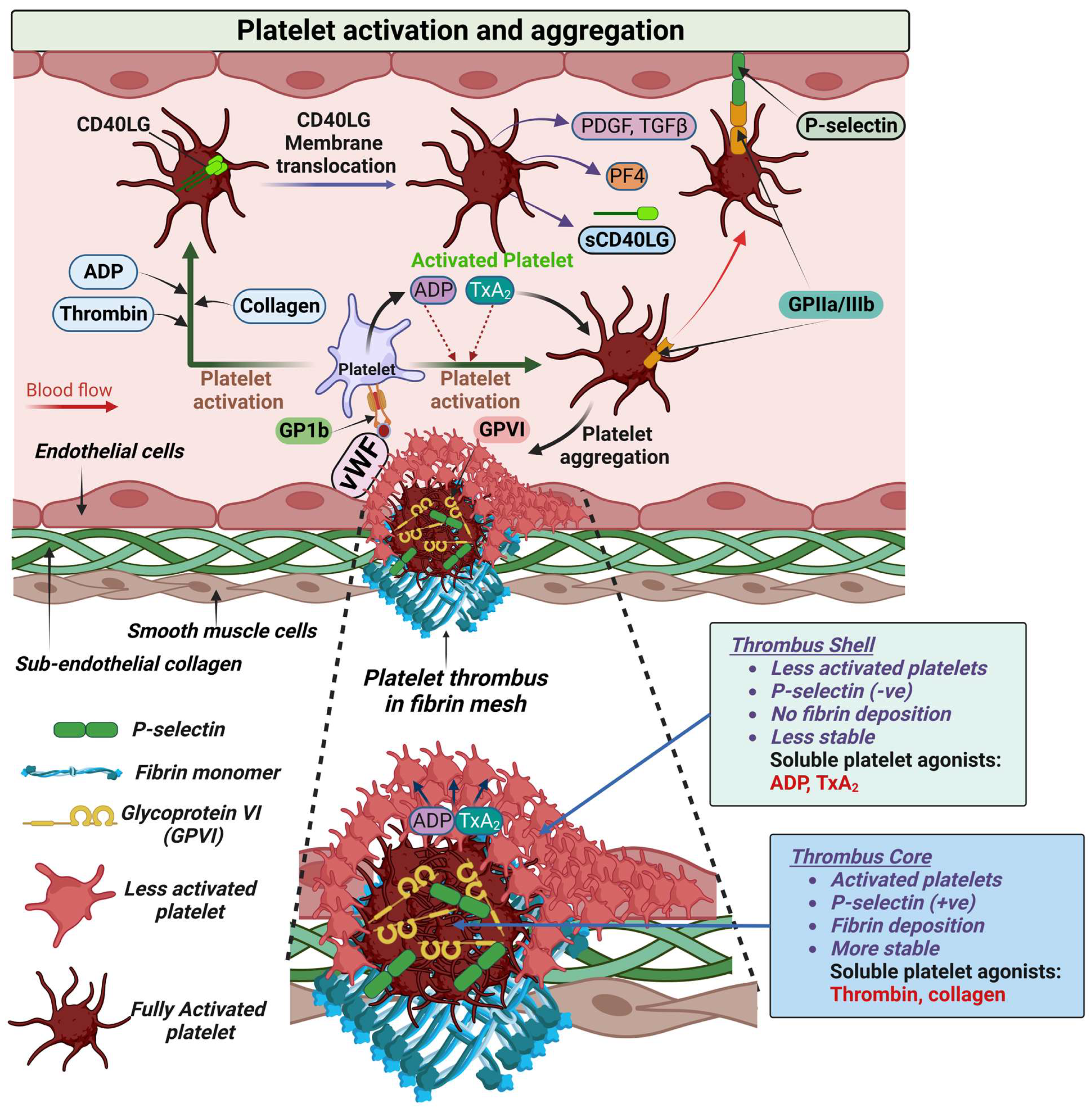 Biomolecules 13 00241 g002
