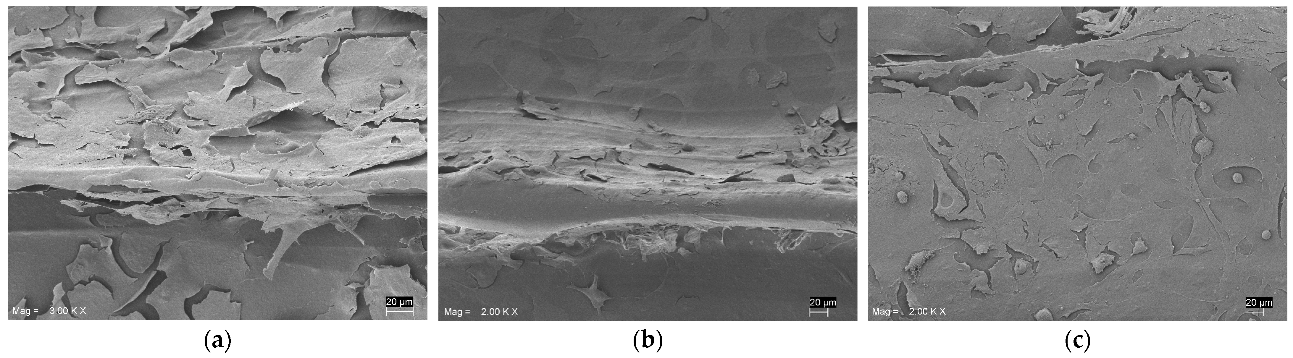 Biomolecules 13 00246 g002
