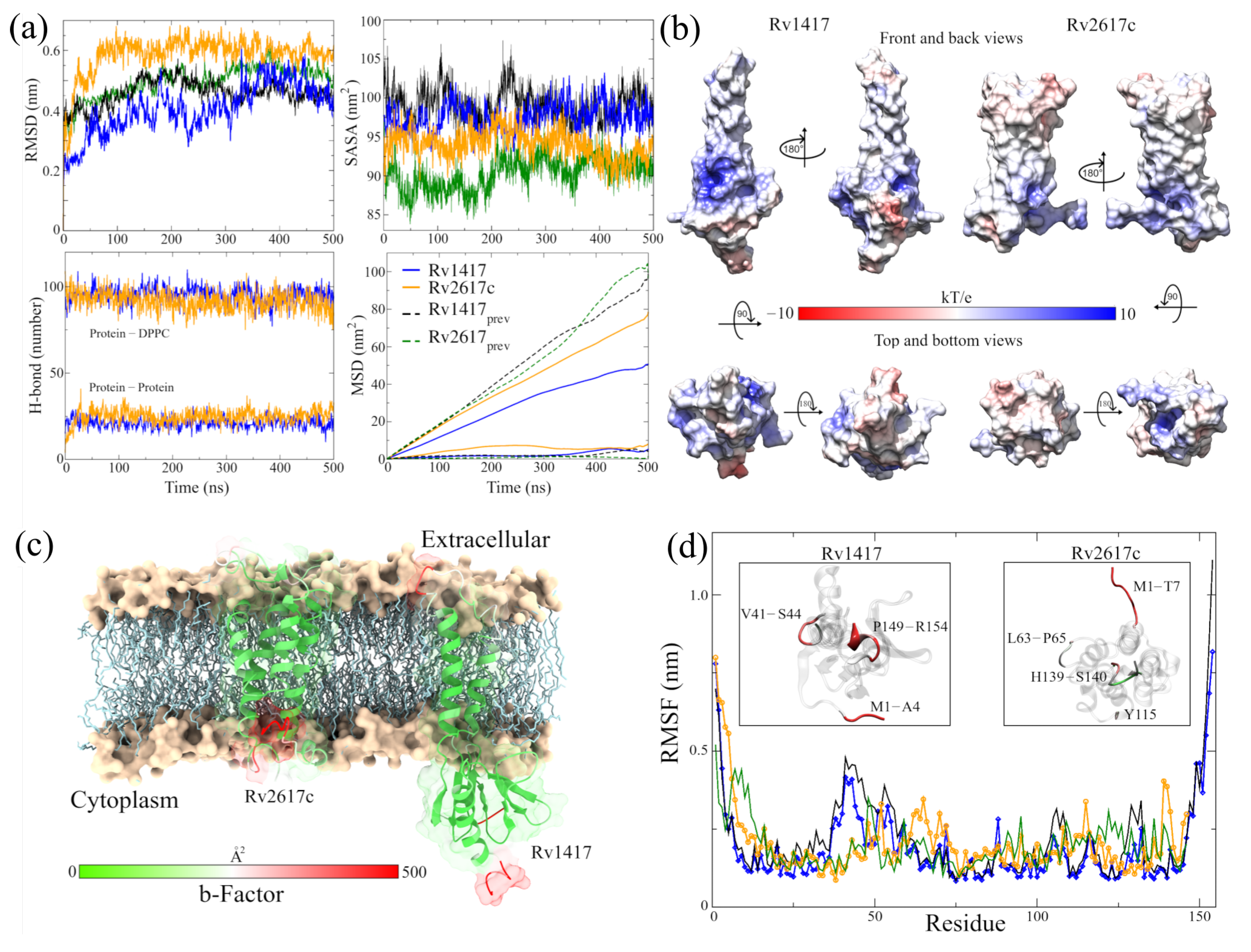 Biomolecules 13 00248 g002 Biomolecules 13 00248 g002