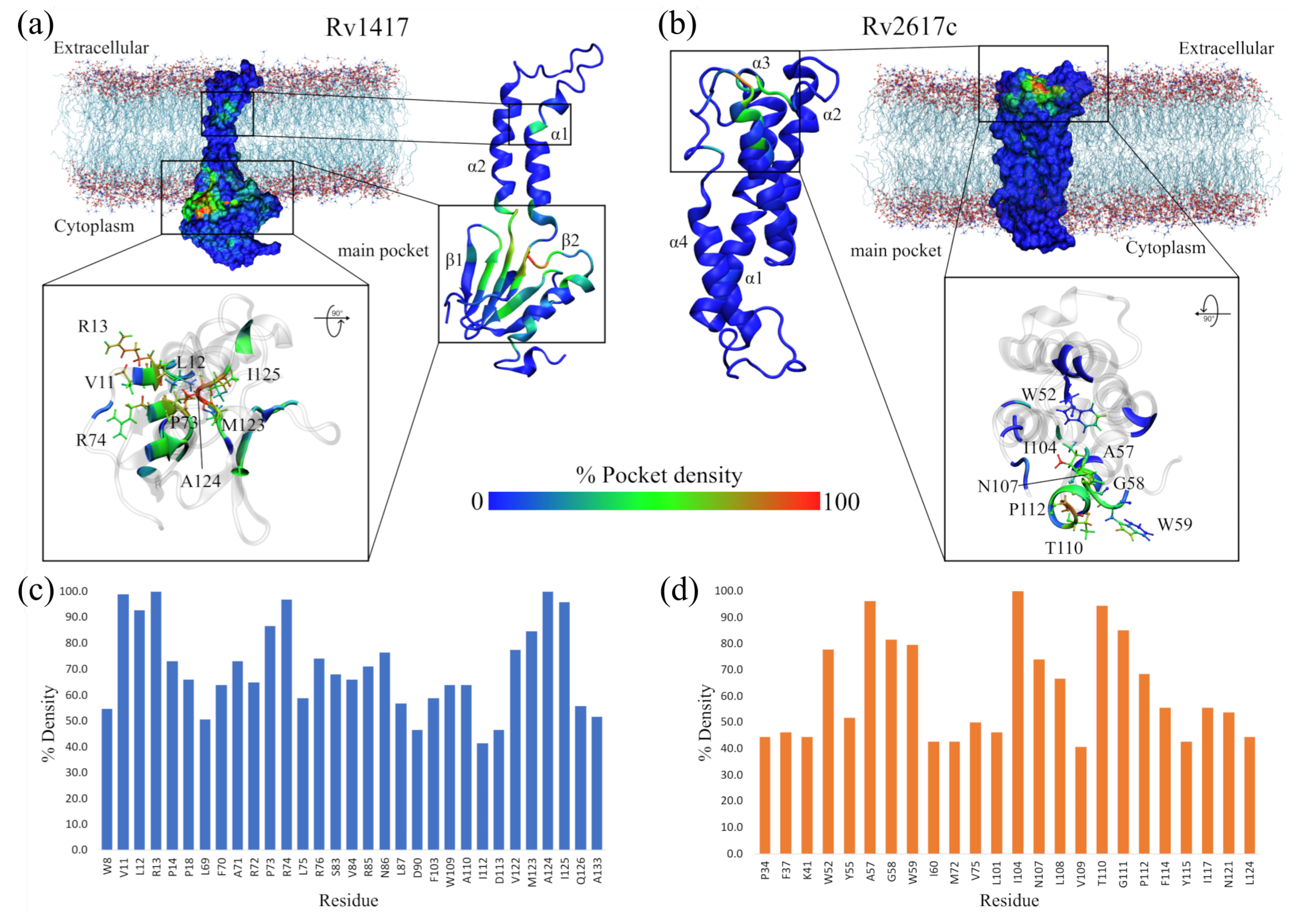 Biomolecules 13 00248 g003 Biomolecules 13 00248 g003