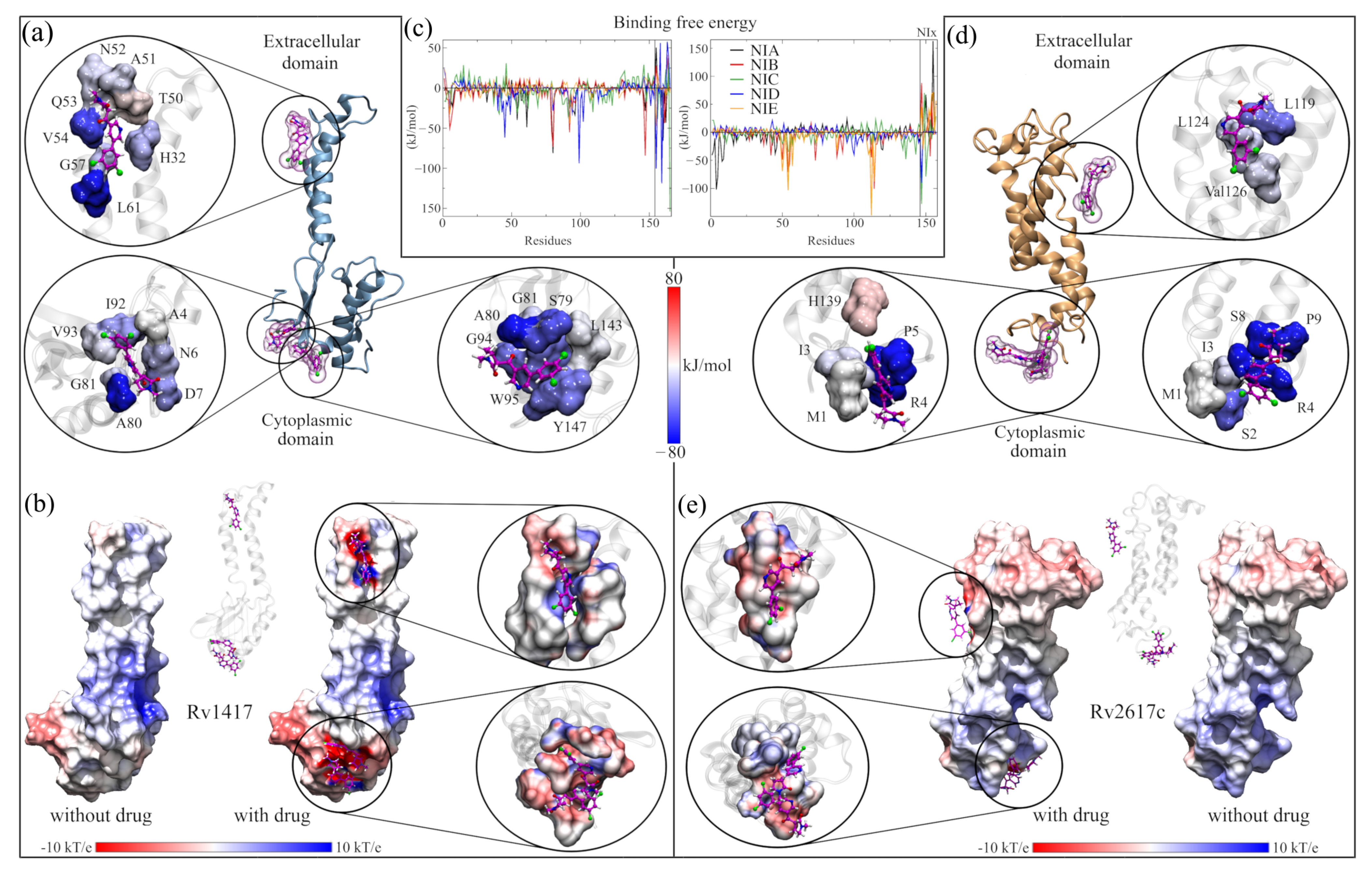 Biomolecules 13 00248 g006 Biomolecules 13 00248 g006