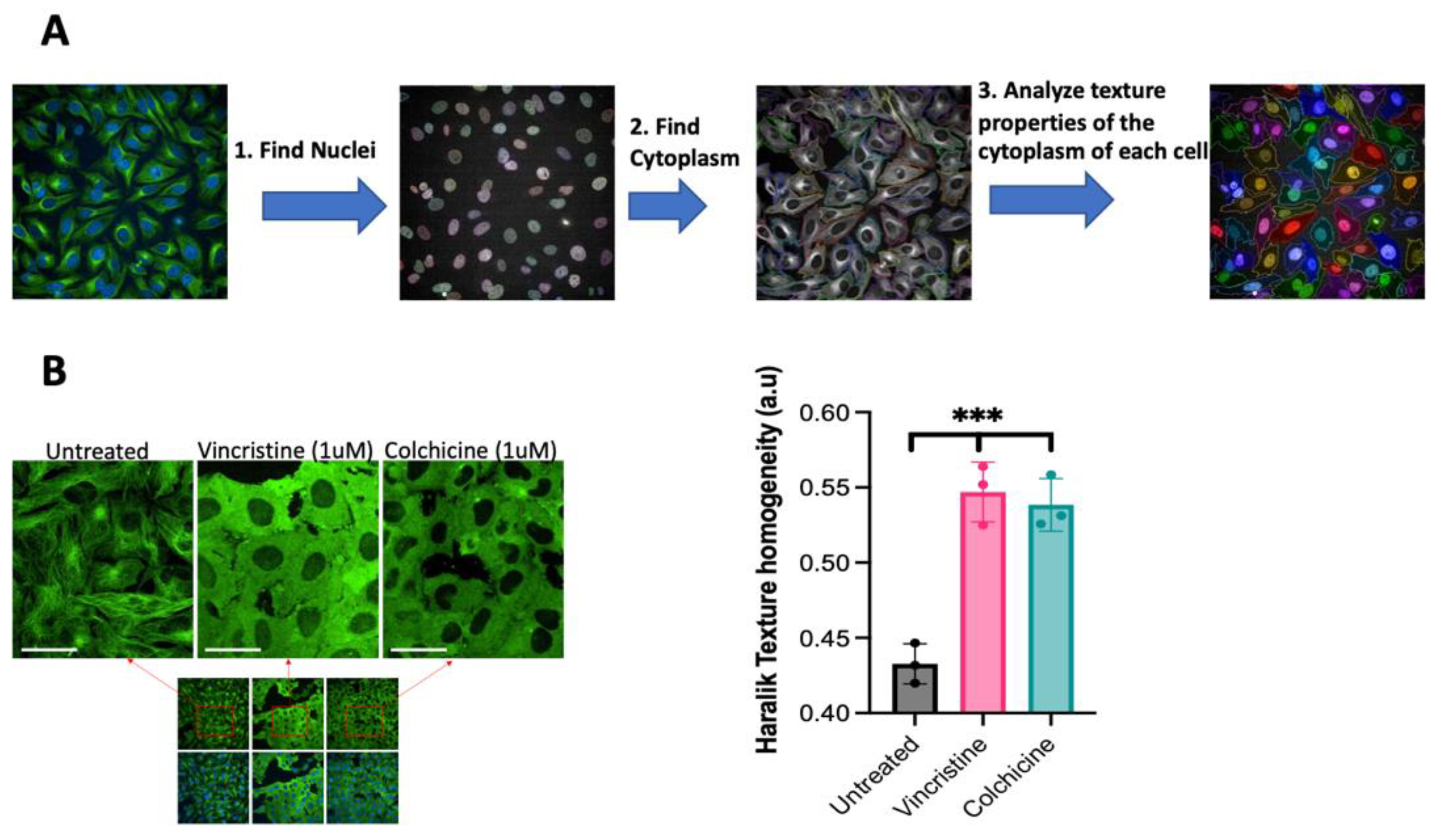 Biomolecules 13 00249 g001