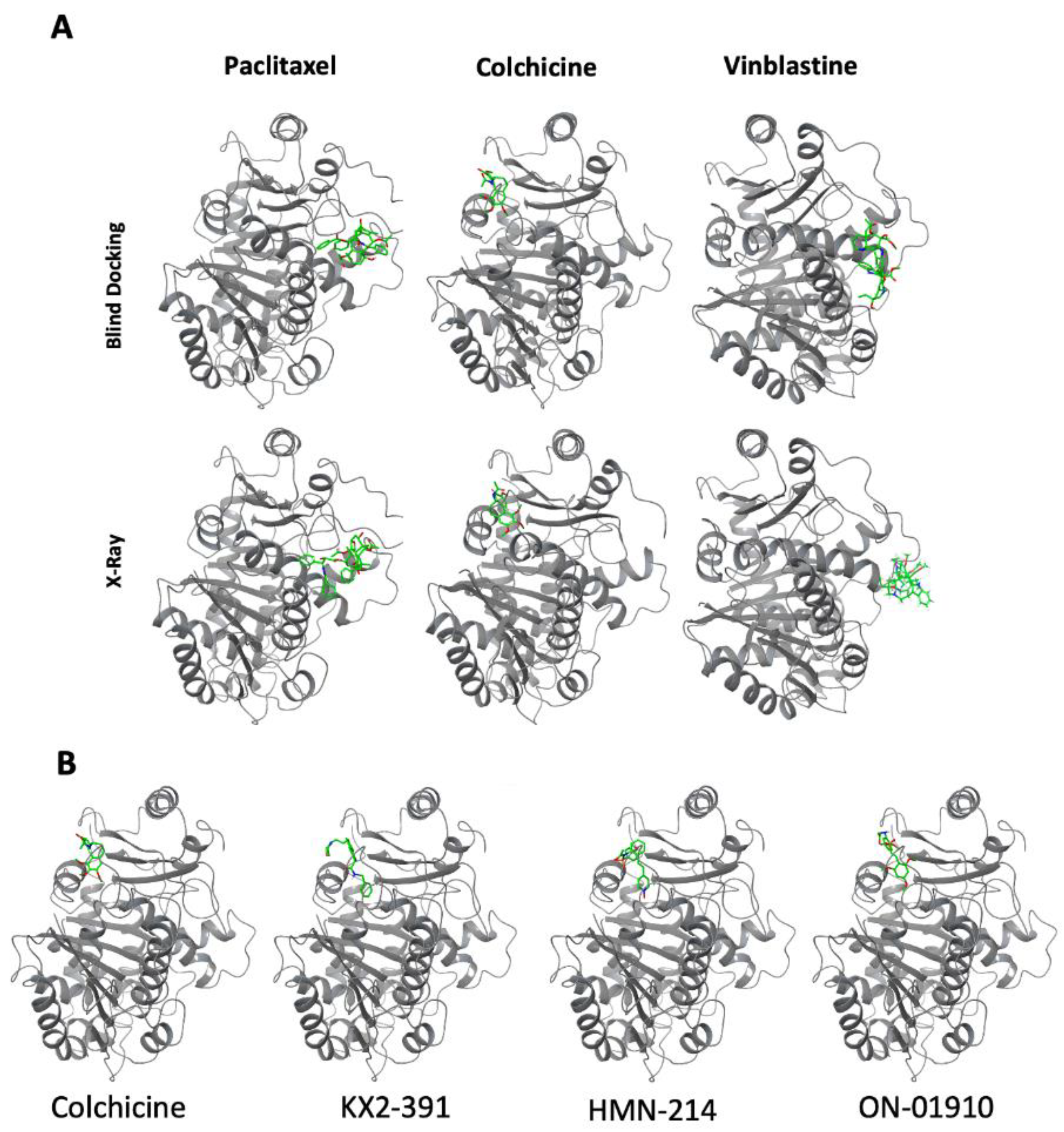 Biomolecules 13 00249 g005
