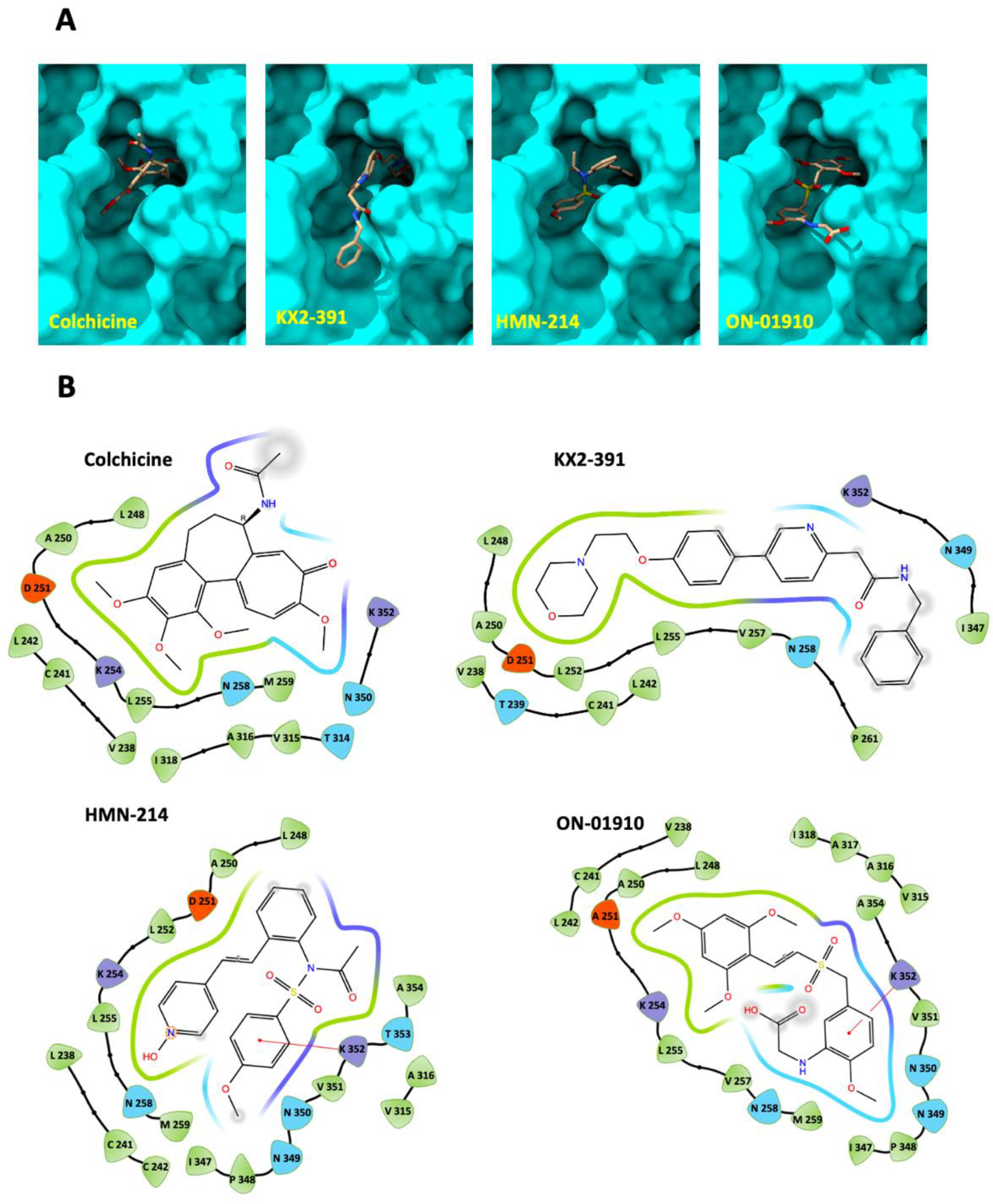 Biomolecules 13 00249 g006