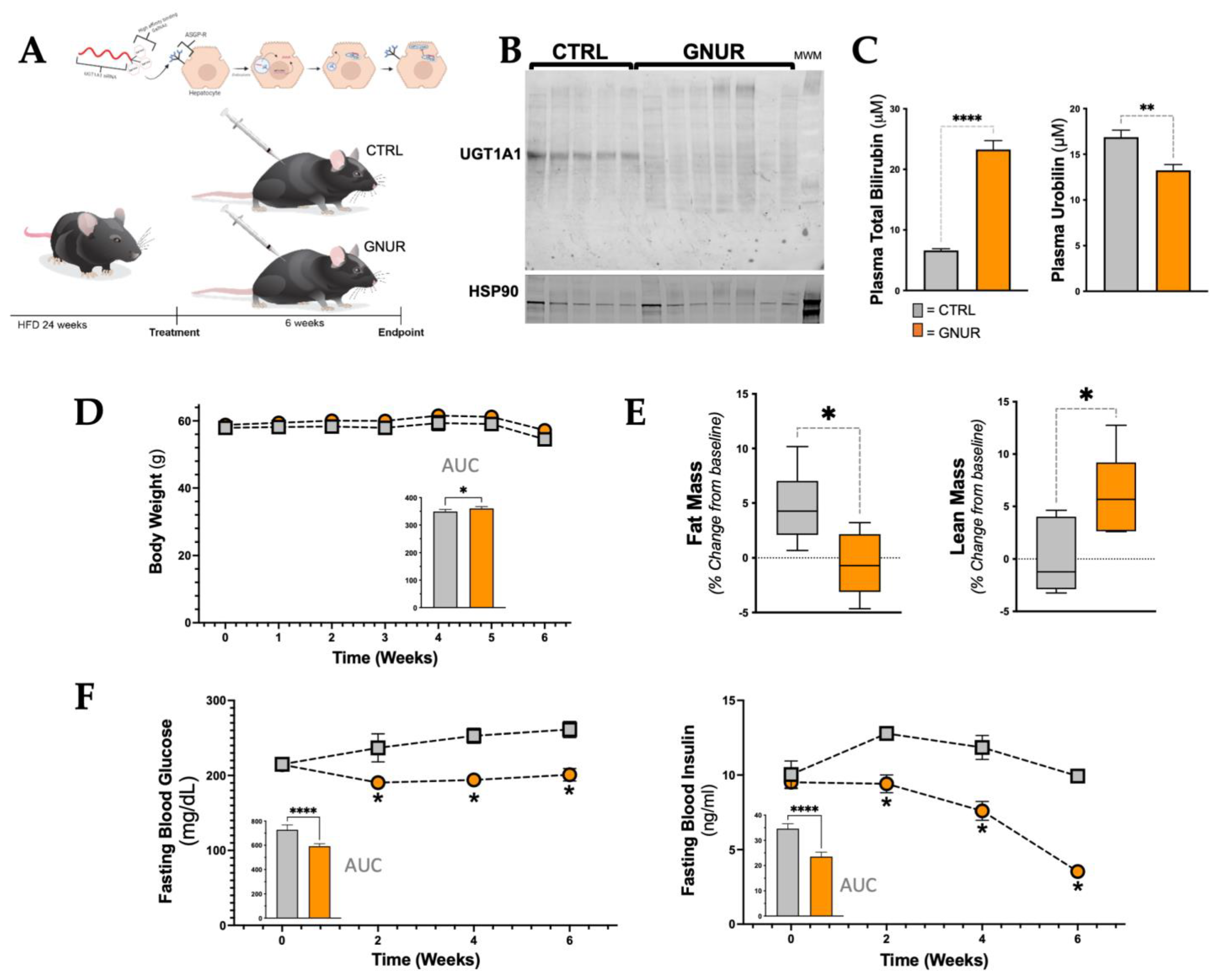 Biomolecules 13 00252 g001 Biomolecules 13 00252 g001
