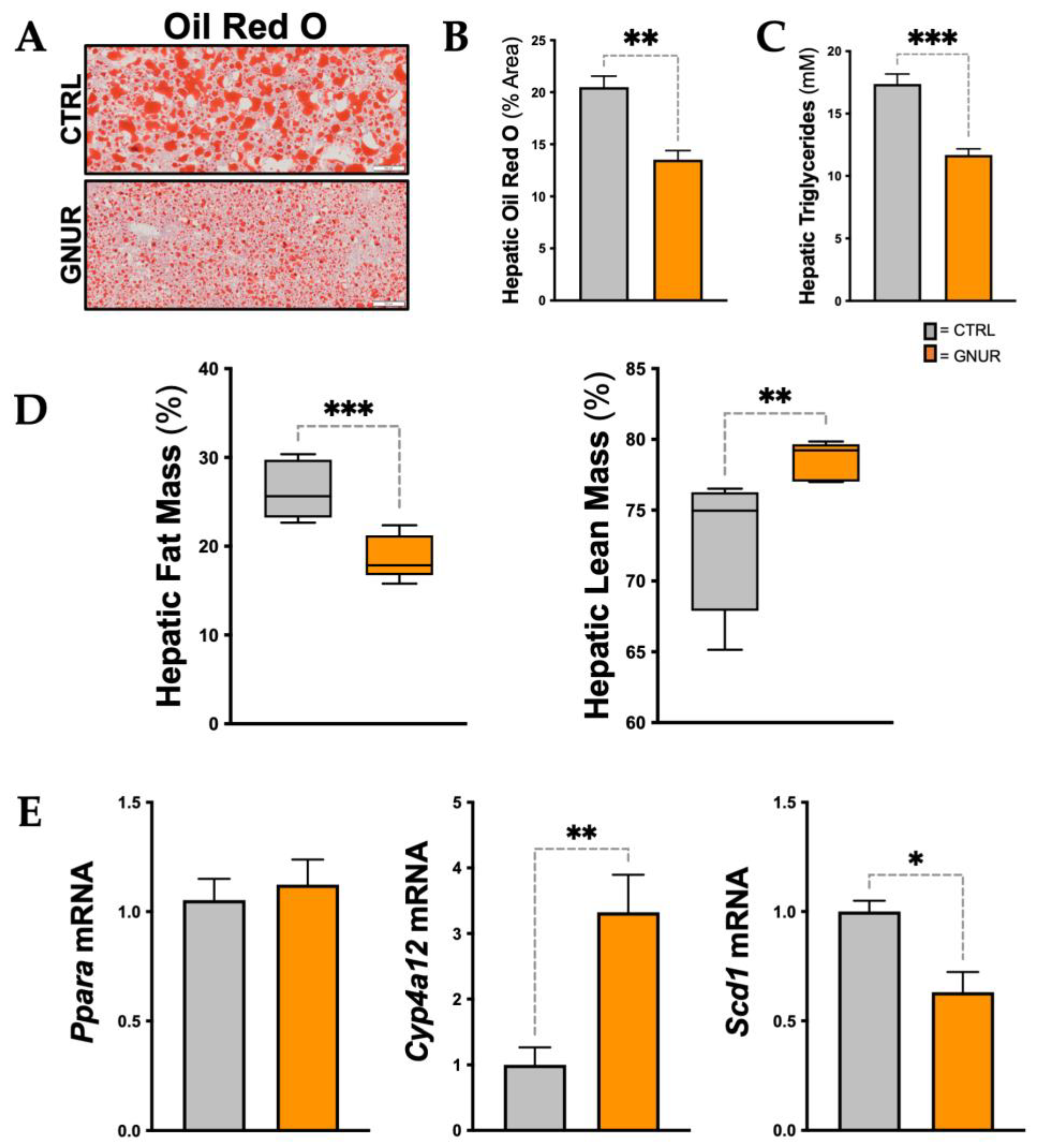 Biomolecules 13 00252 g003 Biomolecules 13 00252 g003