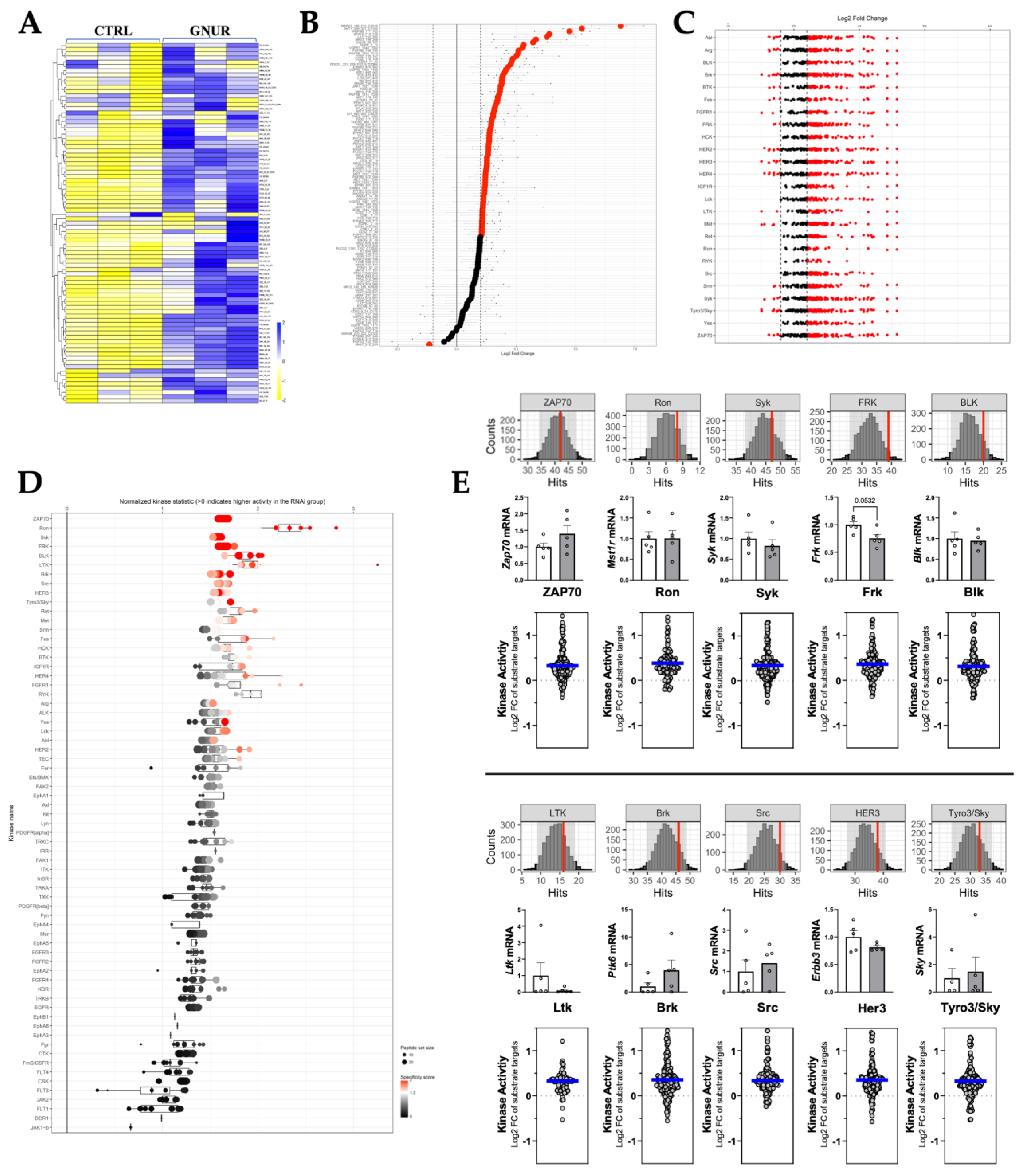 Biomolecules 13 00252 g005 Biomolecules 13 00252 g005