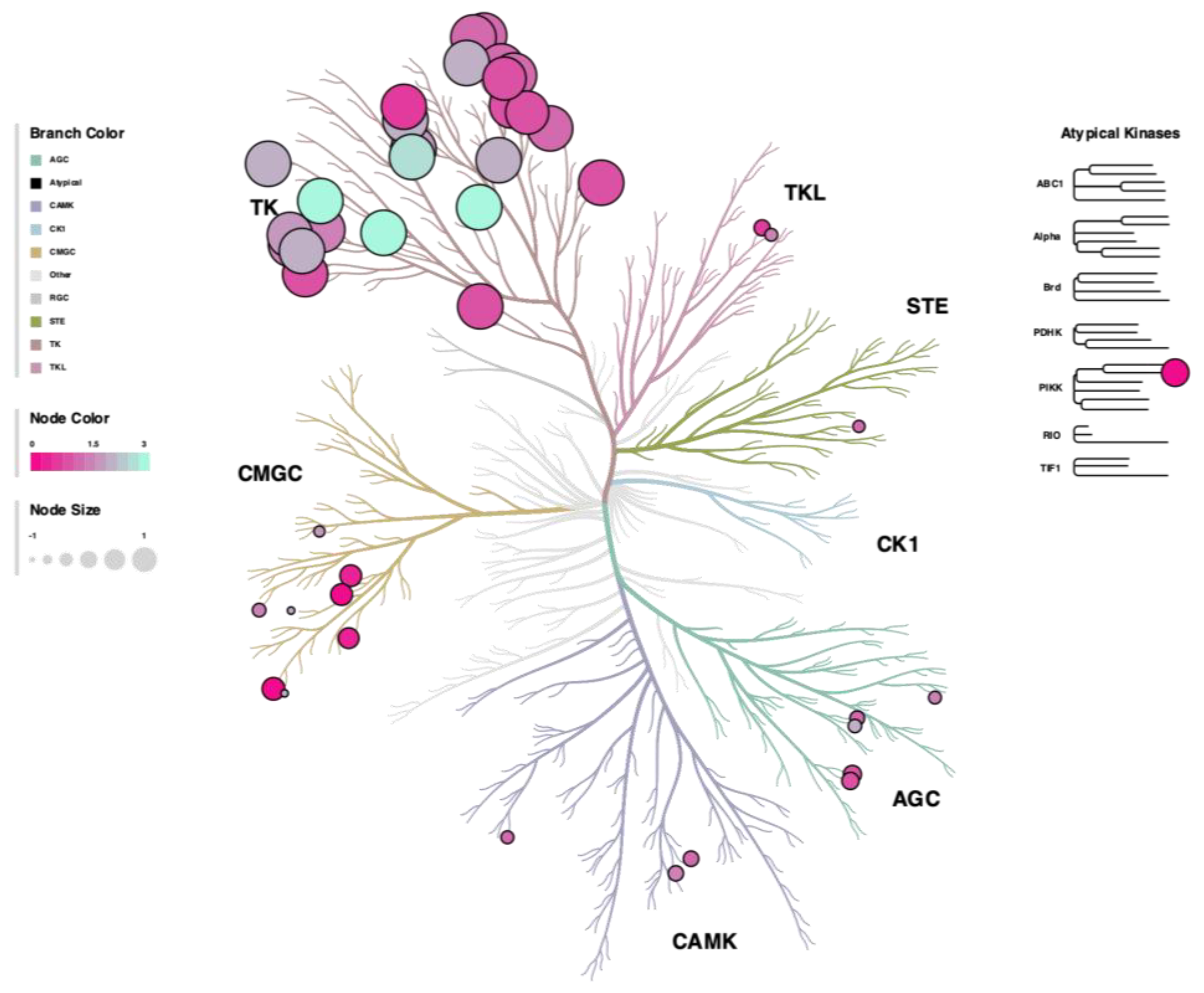 Biomolecules 13 00252 g007 Biomolecules 13 00252 g007
