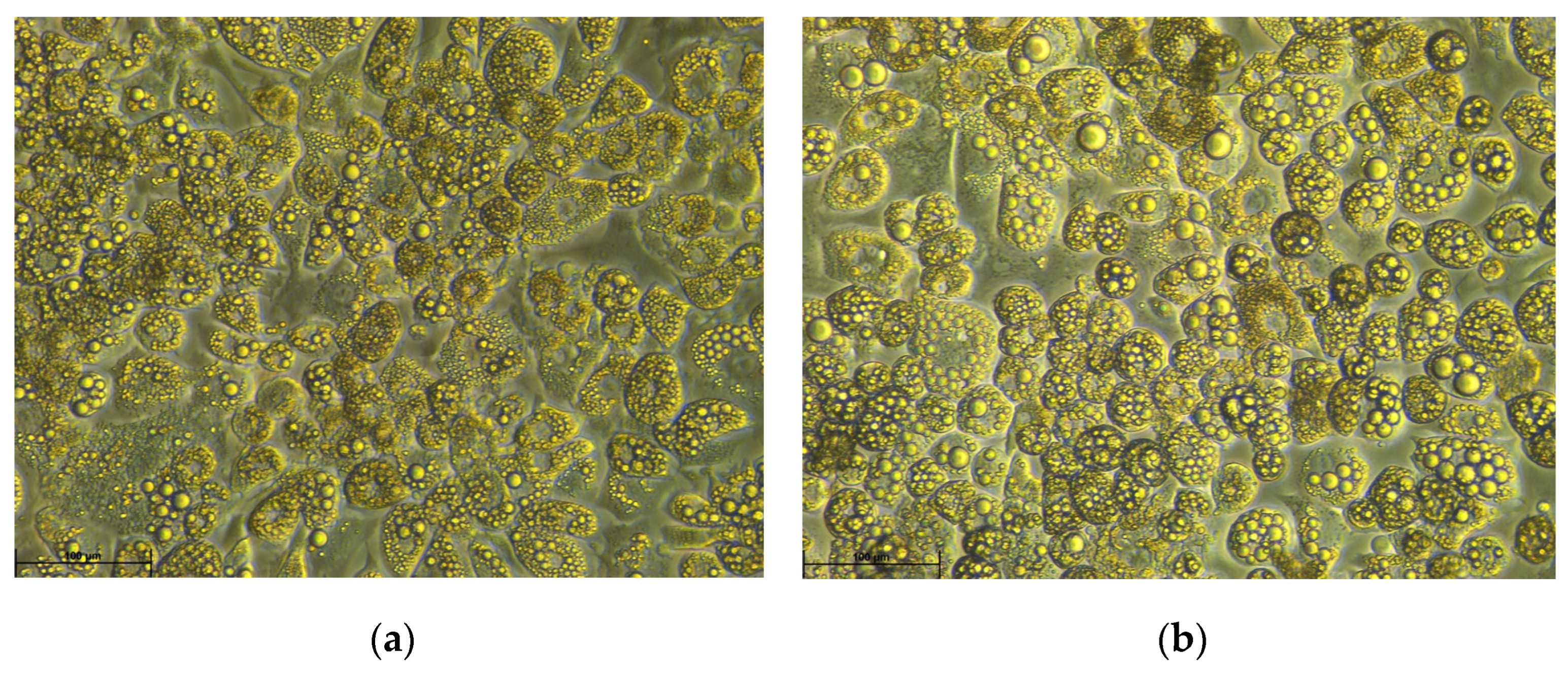 Biomolecules 13 00255 g001 Biomolecules 13 00255 g001