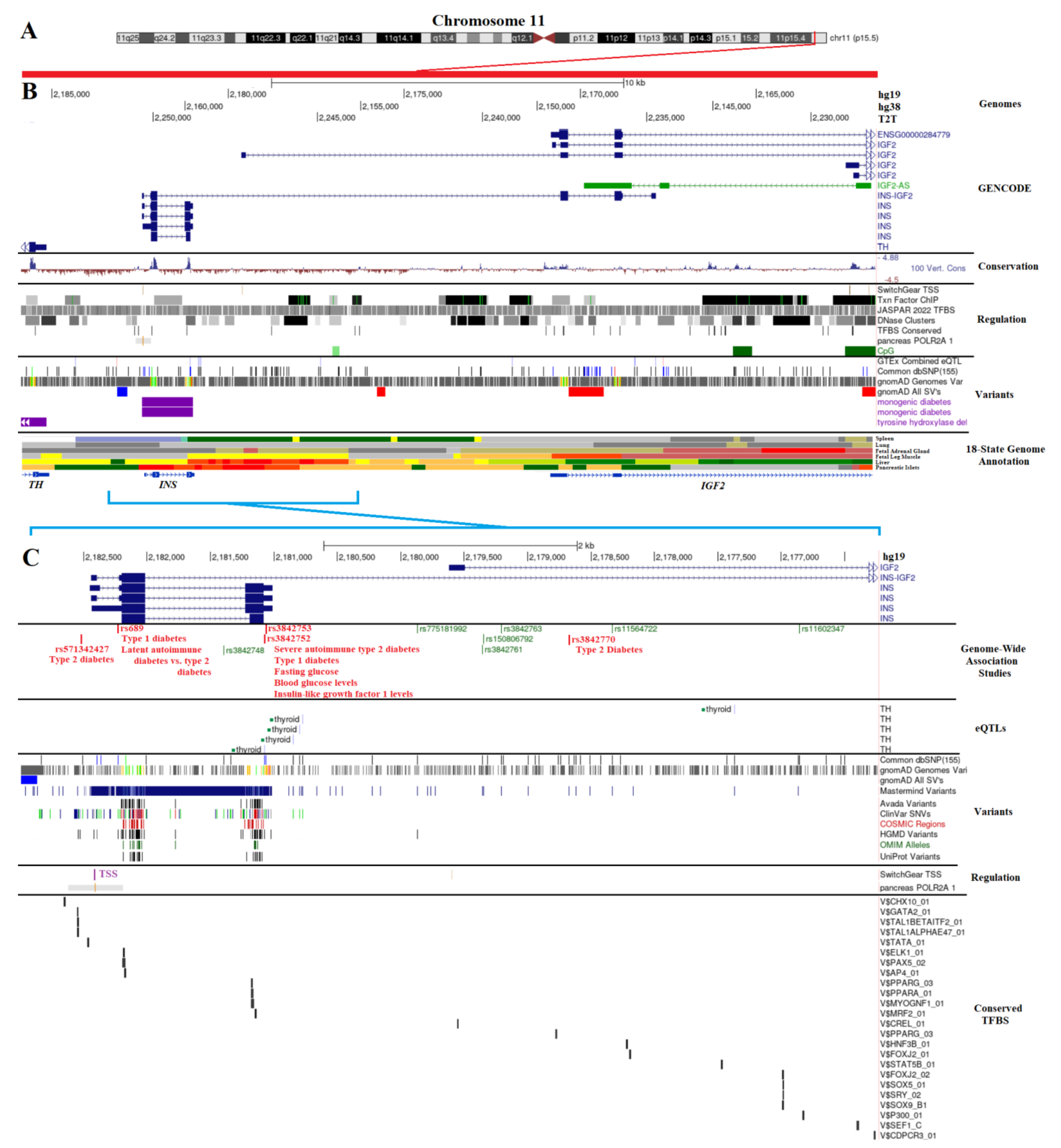 Biomolecules 13 00257 g001