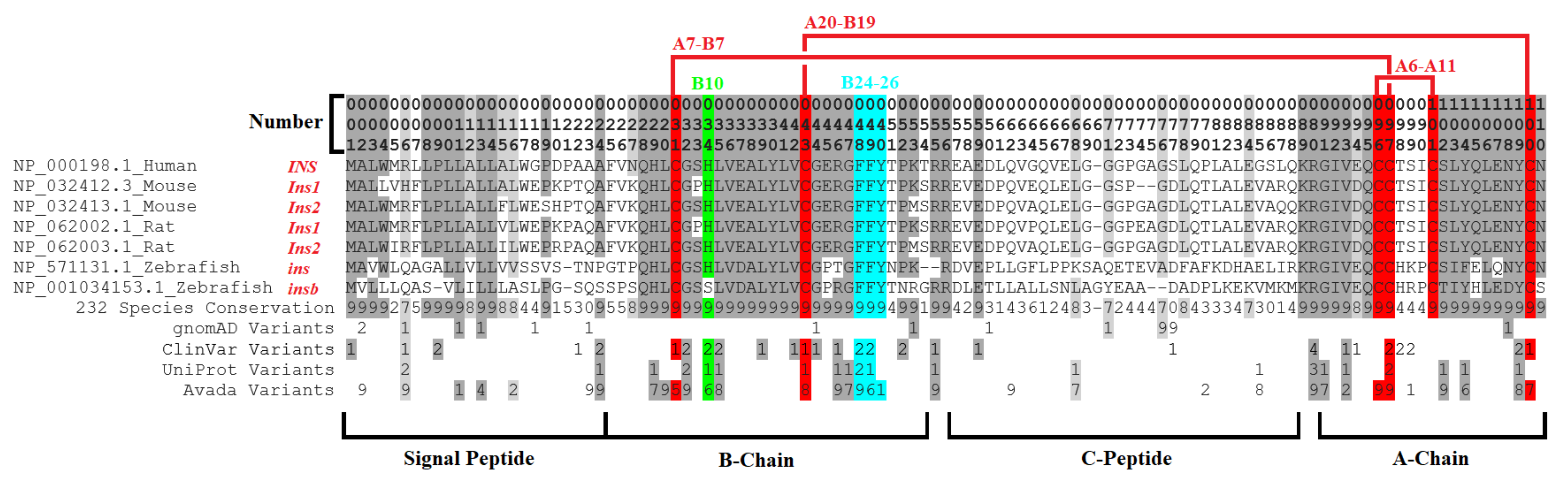 Biomolecules 13 00257 g009