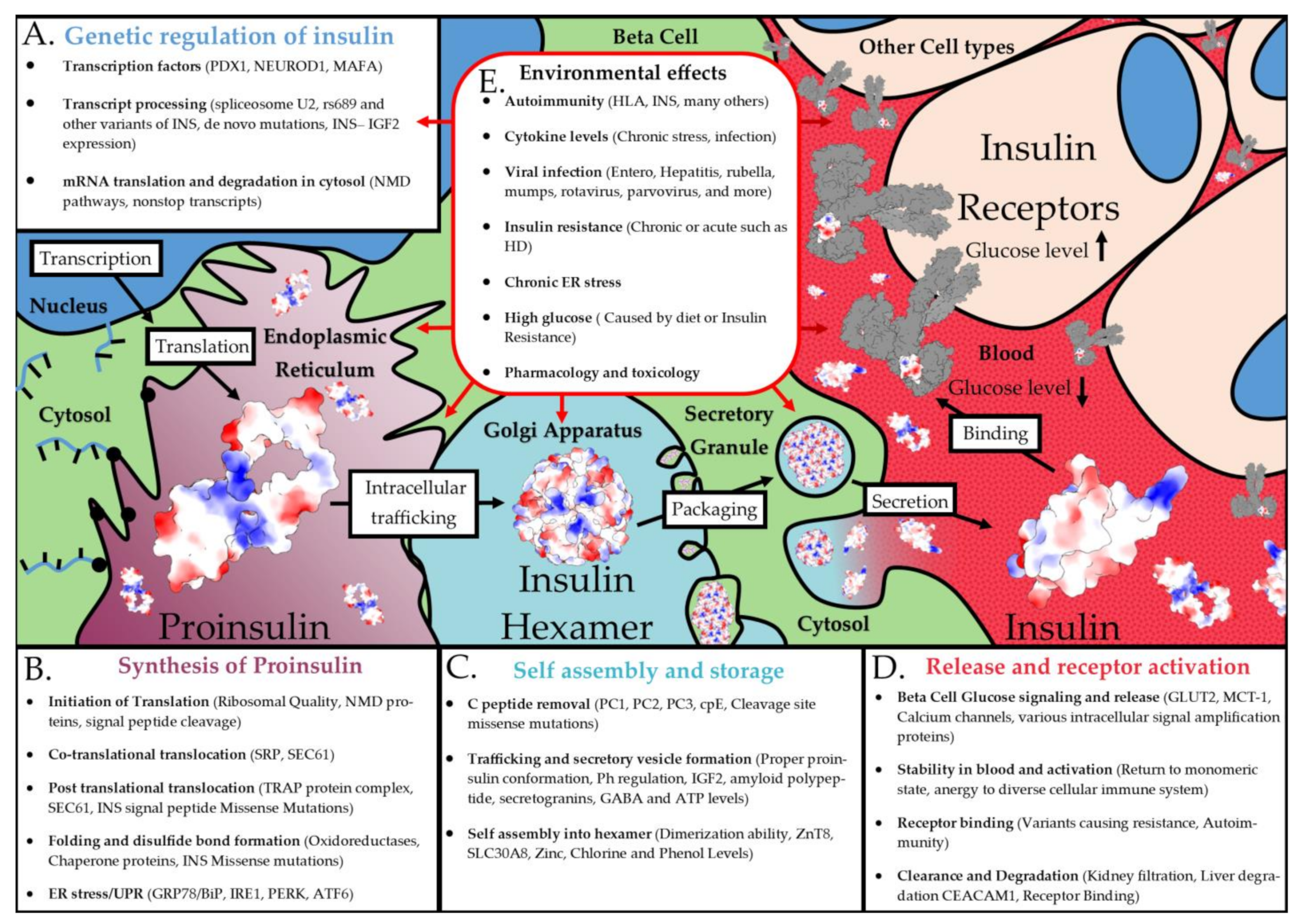 Biomolecules 13 00257 g011