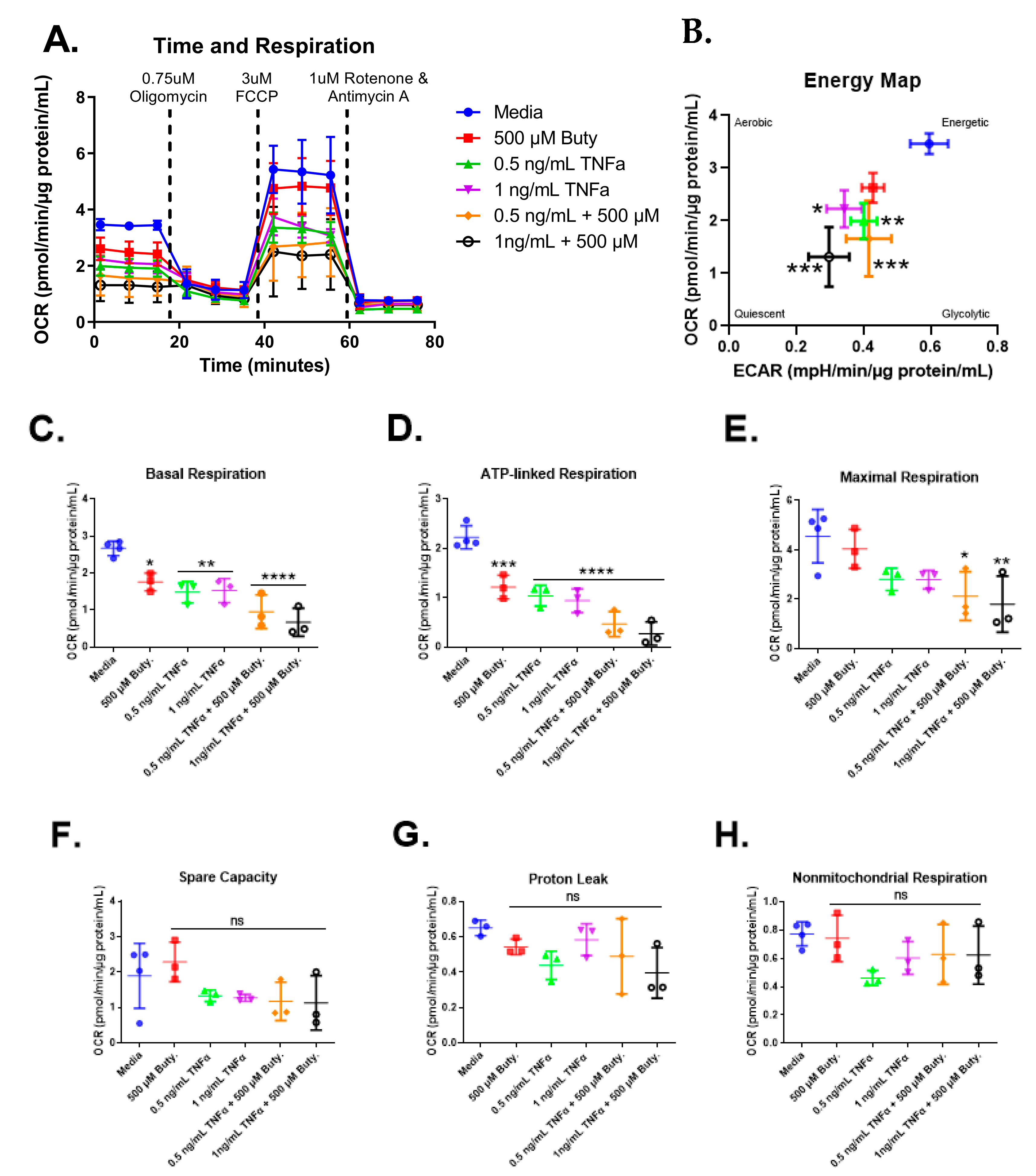 Biomolecules 13 00258 g007