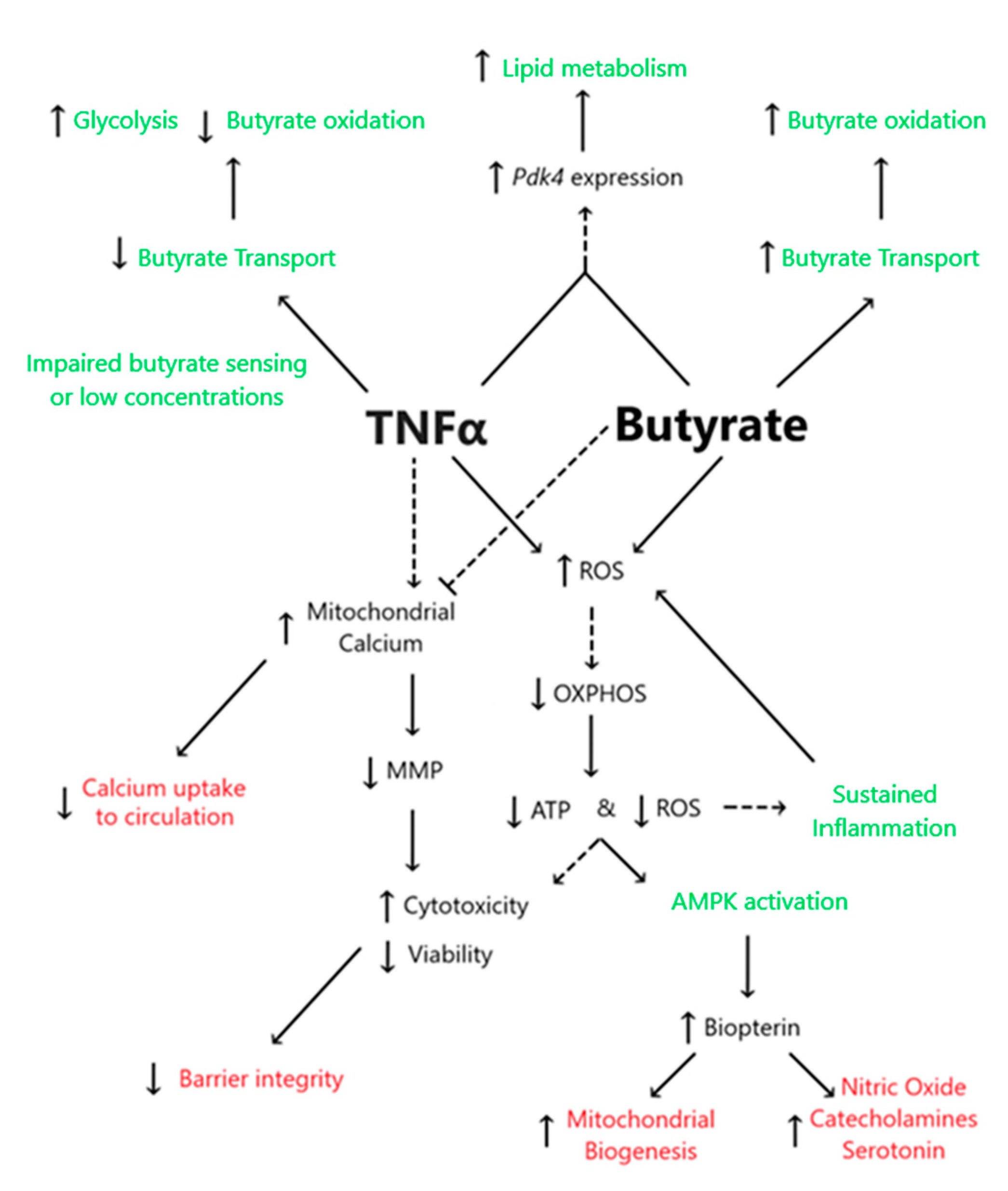 Biomolecules 13 00258 g012