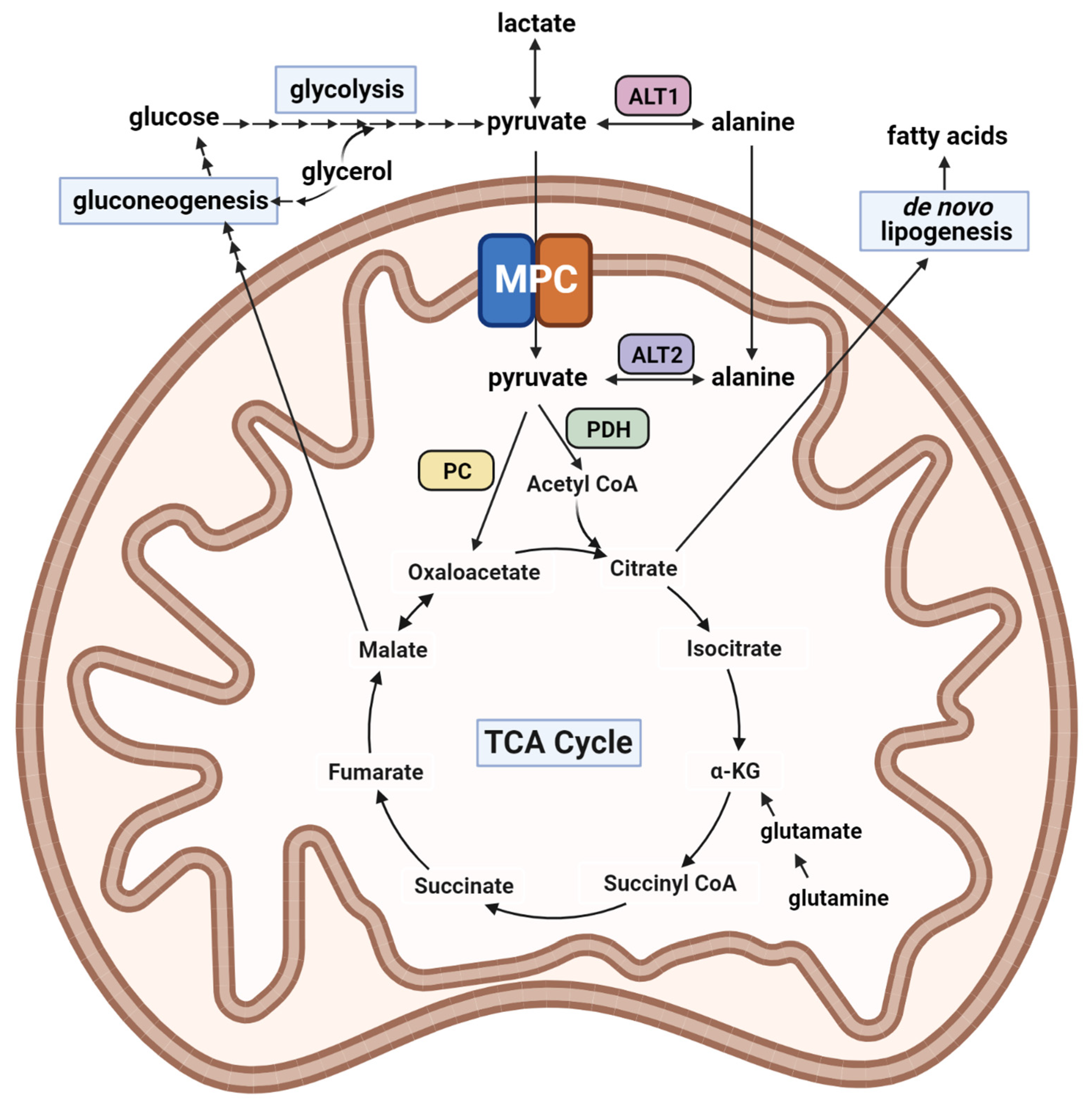 Biomolecules 13 00261 g001