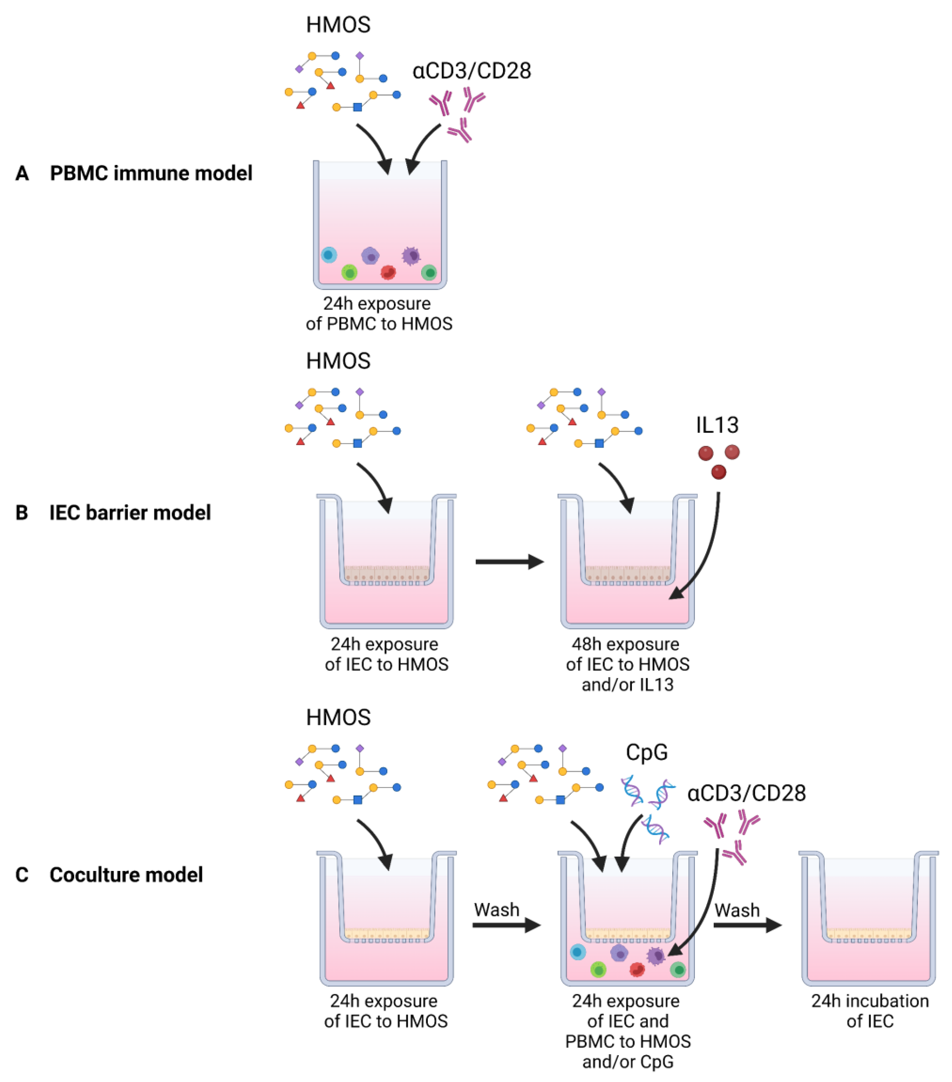 Biomolecules 13 00263 g001 Biomolecules 13 00263 g001