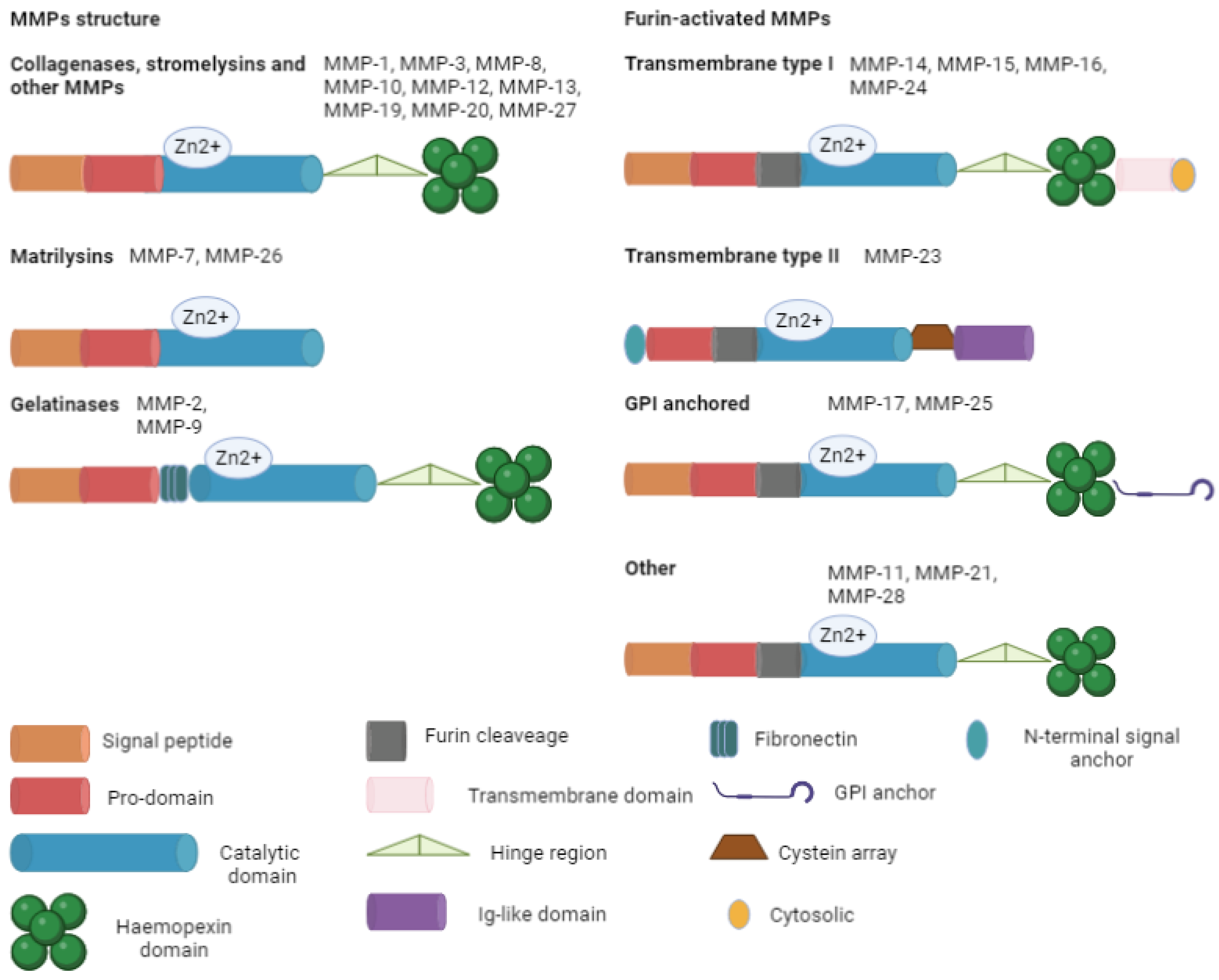 Biomolecules 13 00268 g002