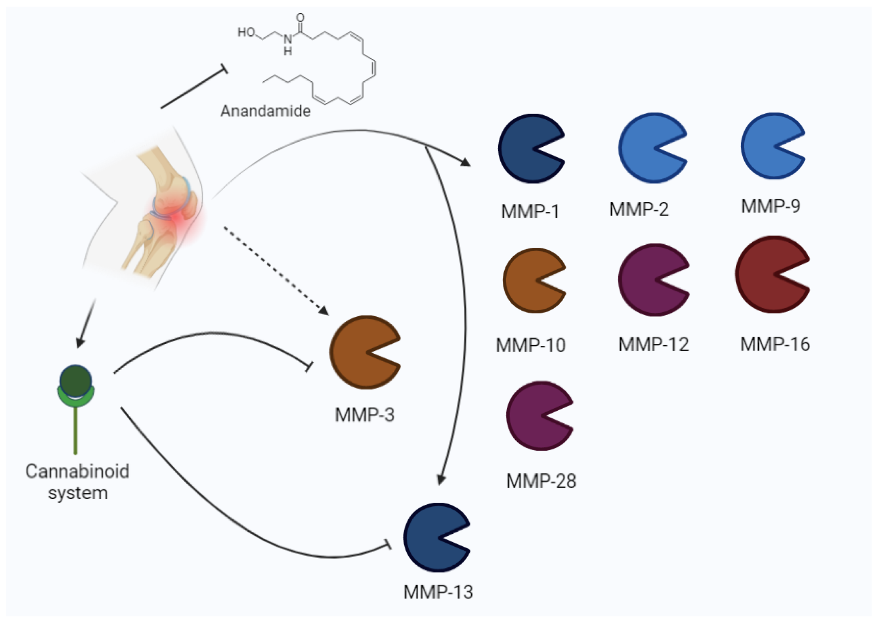 Biomolecules 13 00268 g004