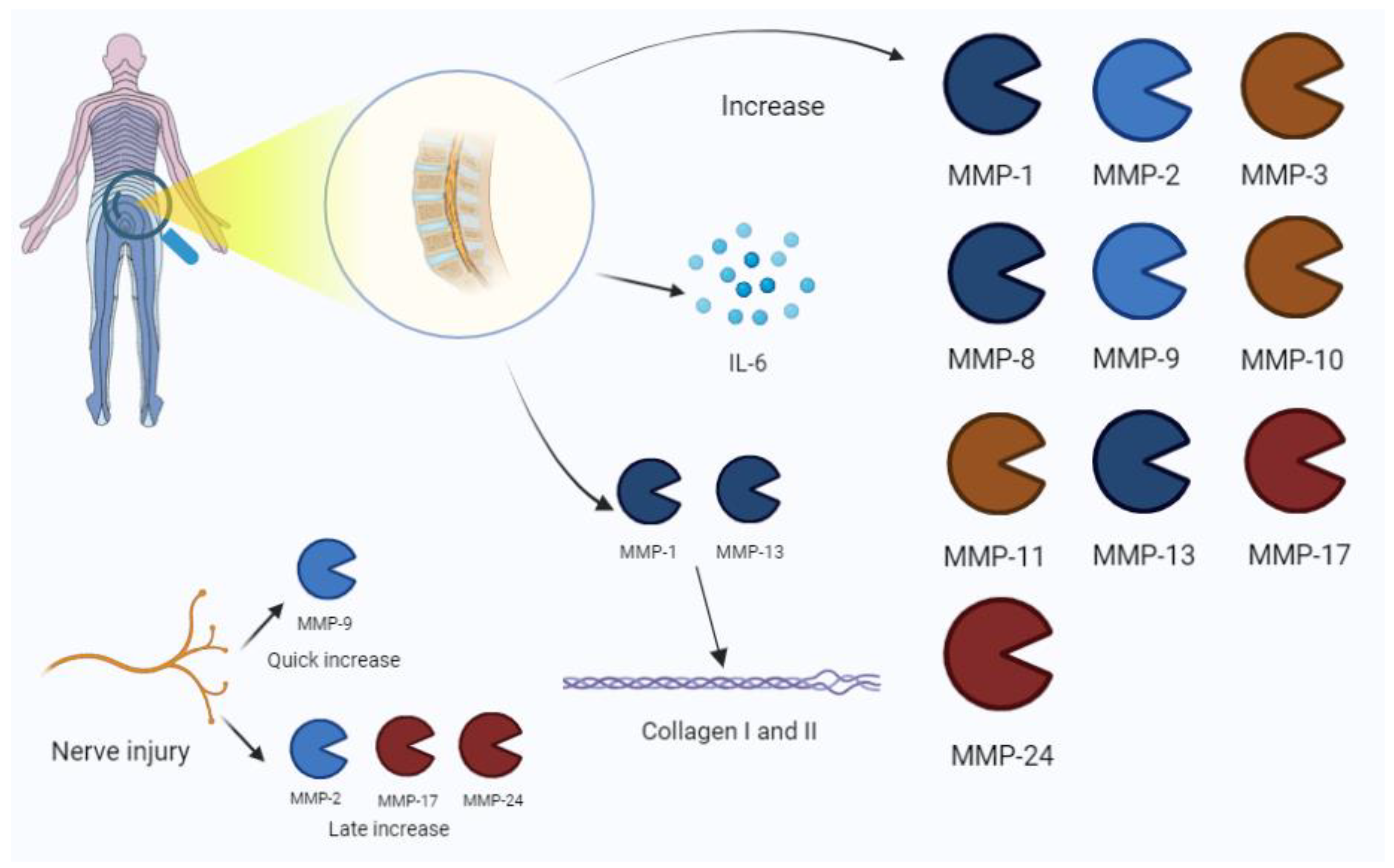 Biomolecules 13 00268 g005