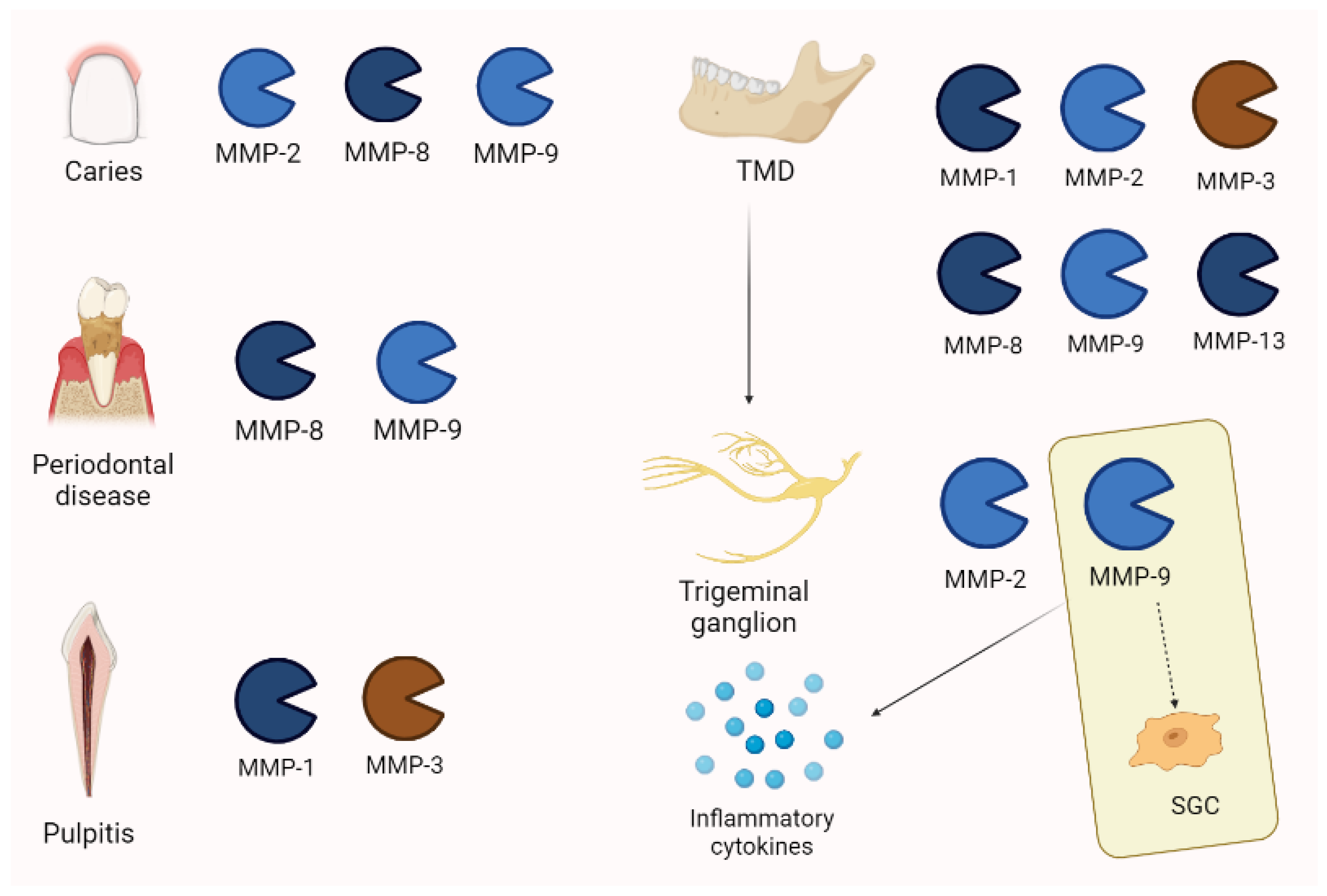Biomolecules 13 00268 g007