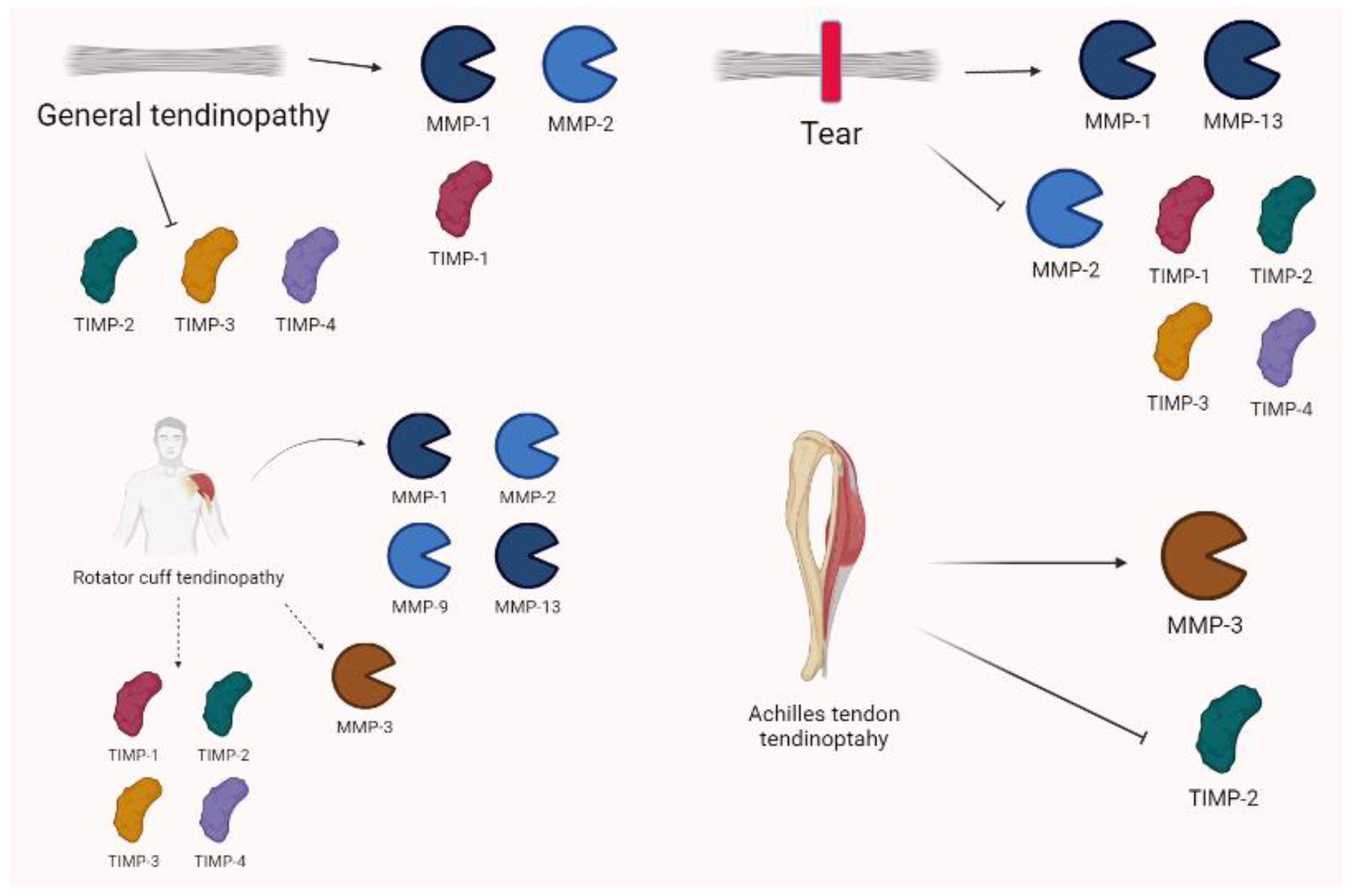 Biomolecules 13 00268 g008