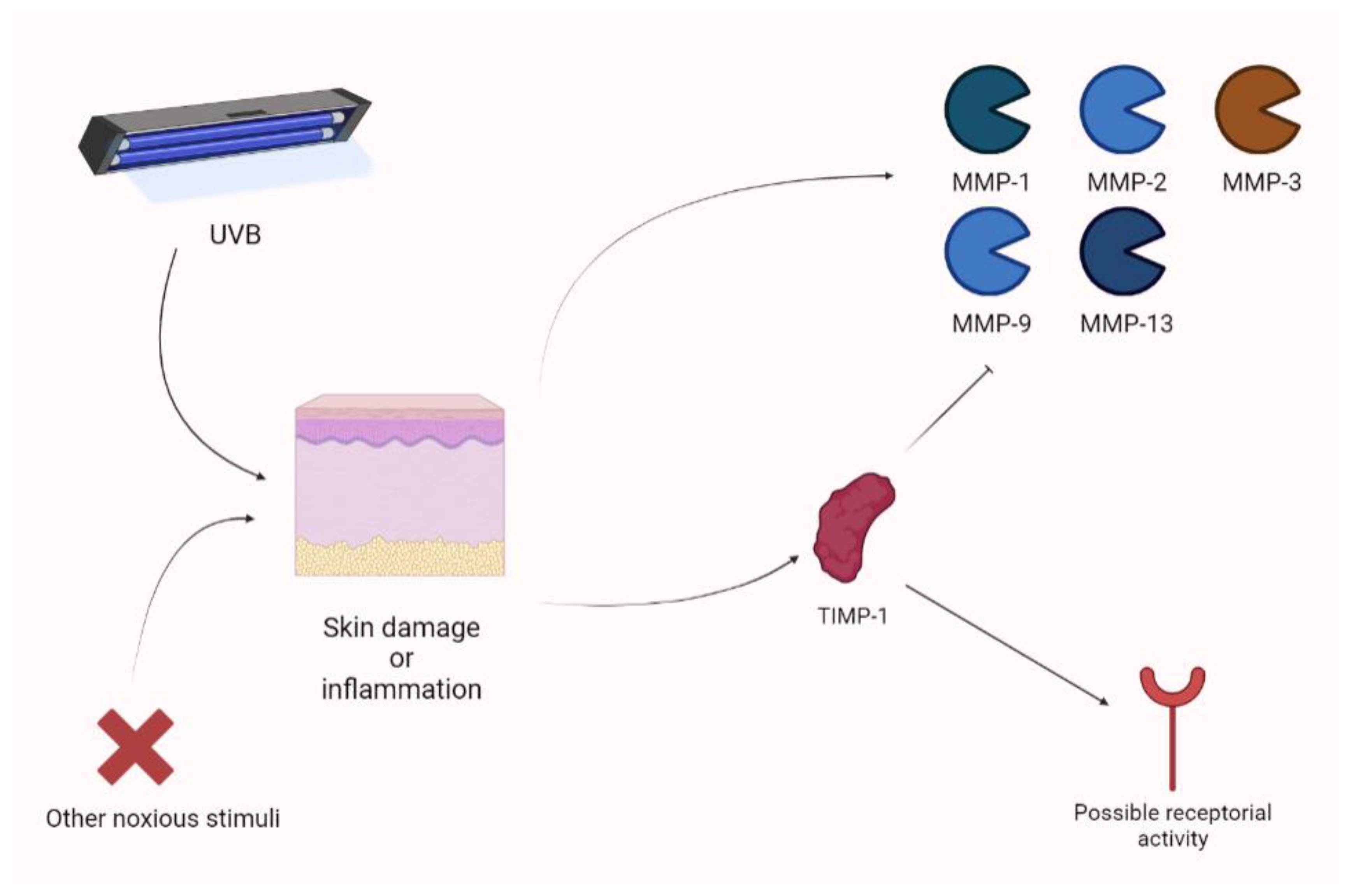 Biomolecules 13 00268 g009