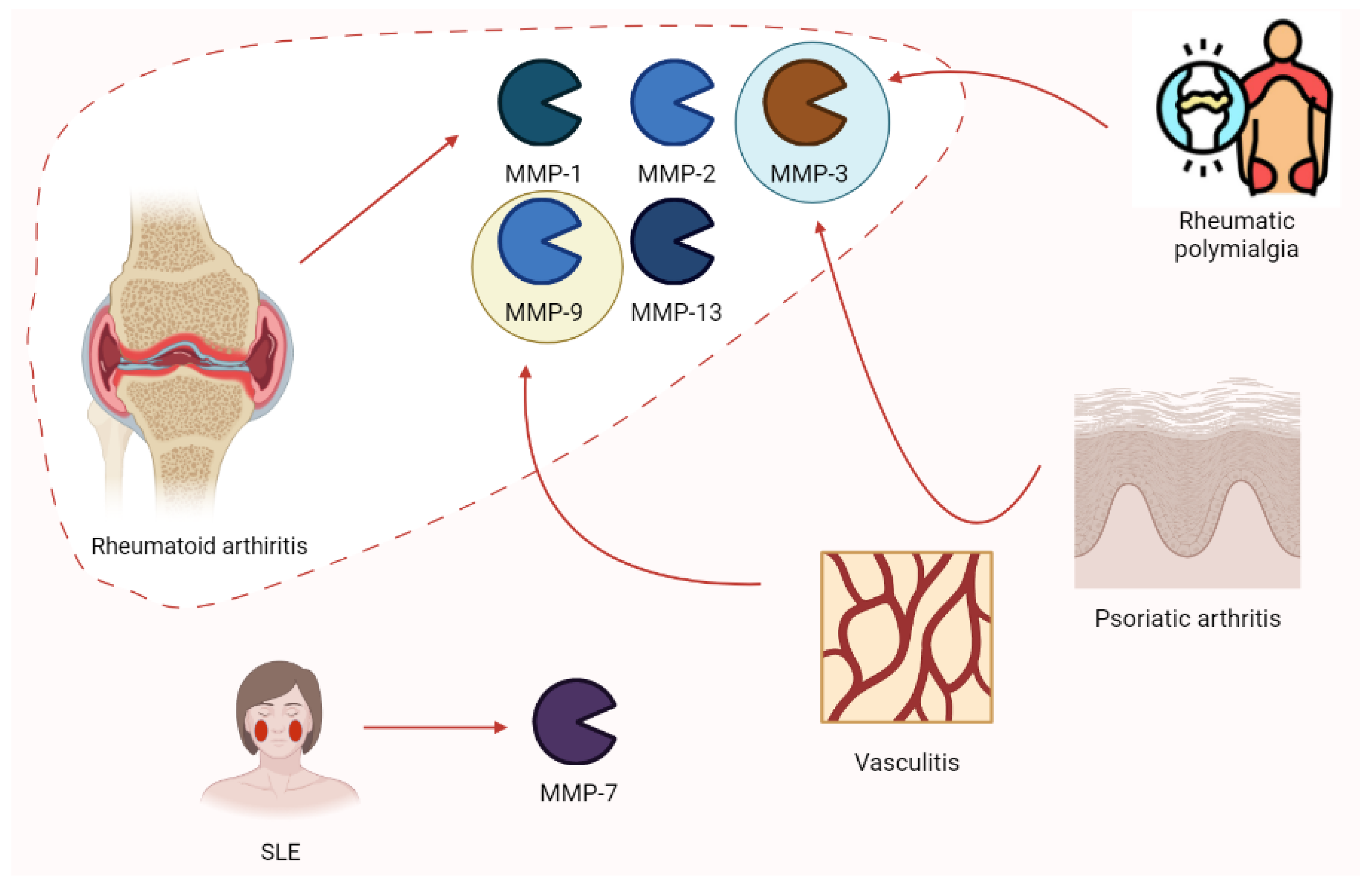 Biomolecules 13 00268 g010