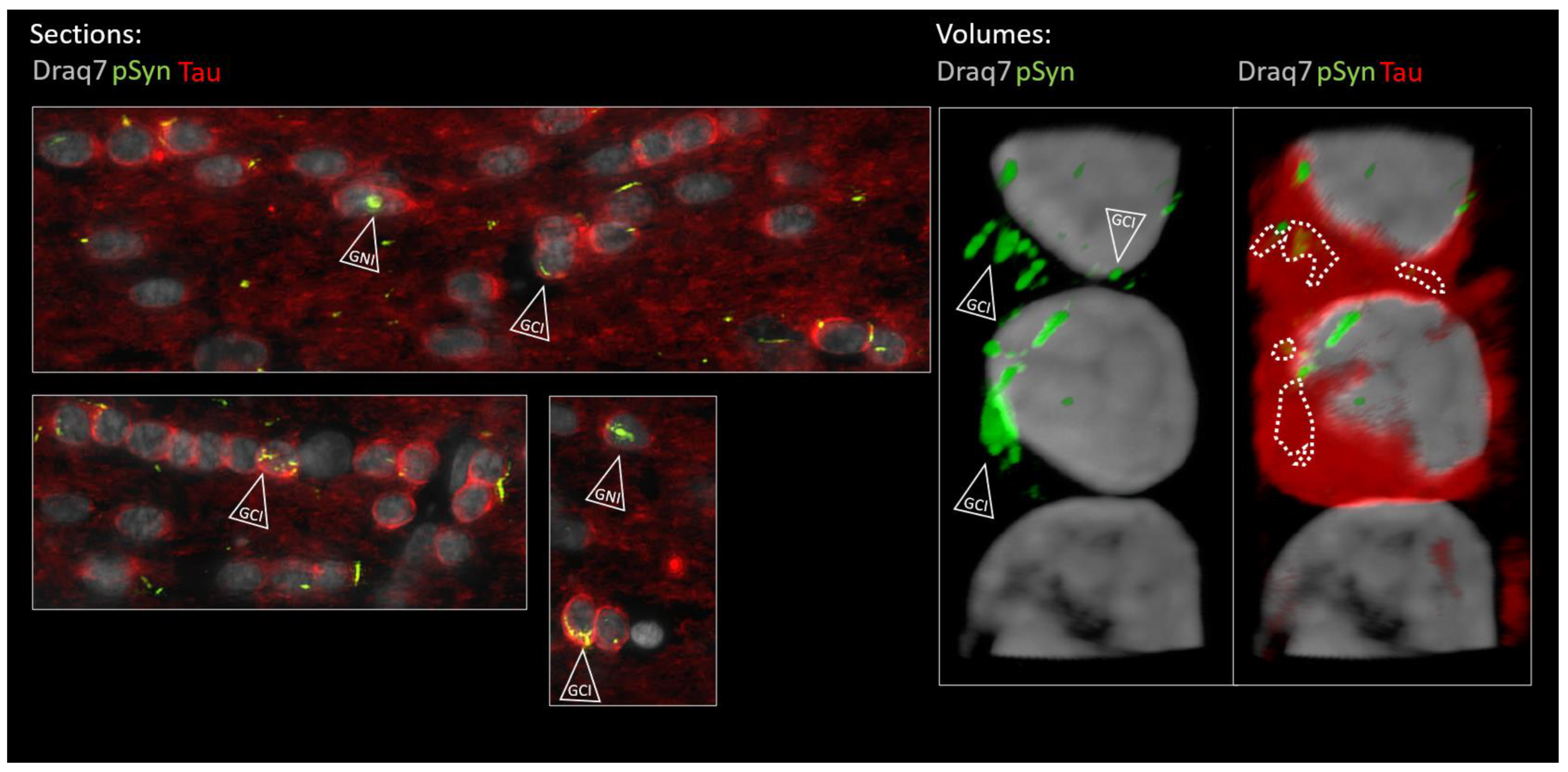 Biomolecules 13 00269 g011