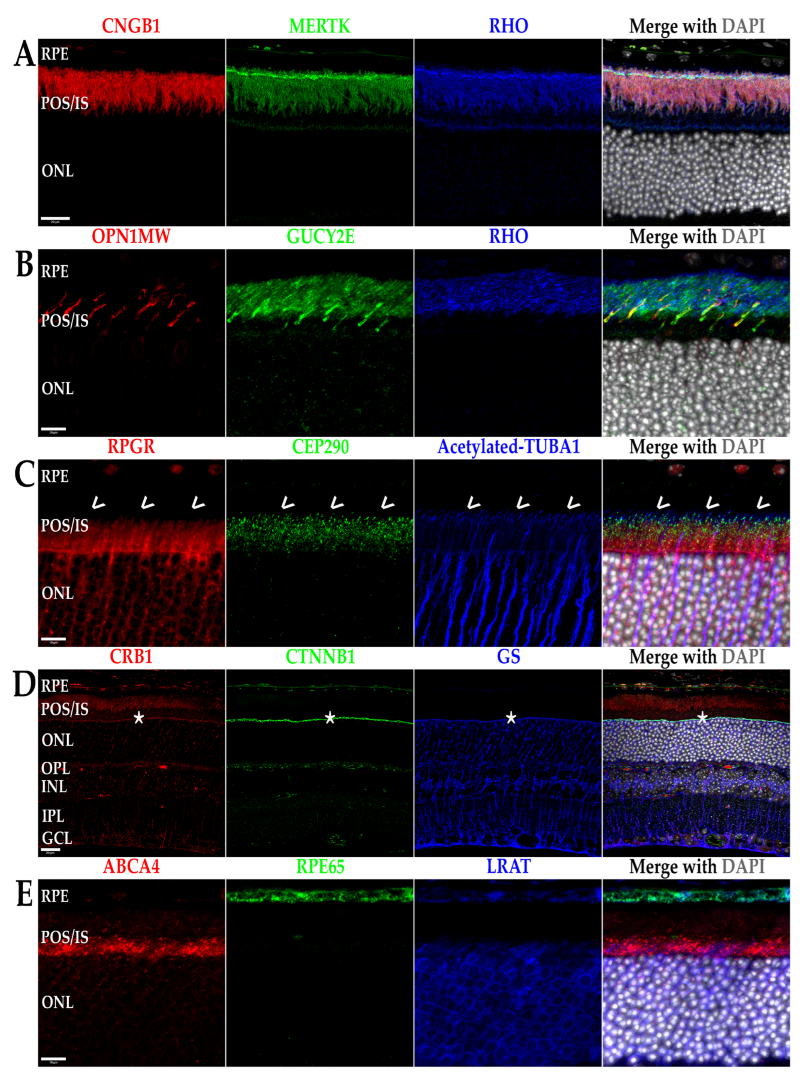 Biomolecules 13 00271 g001