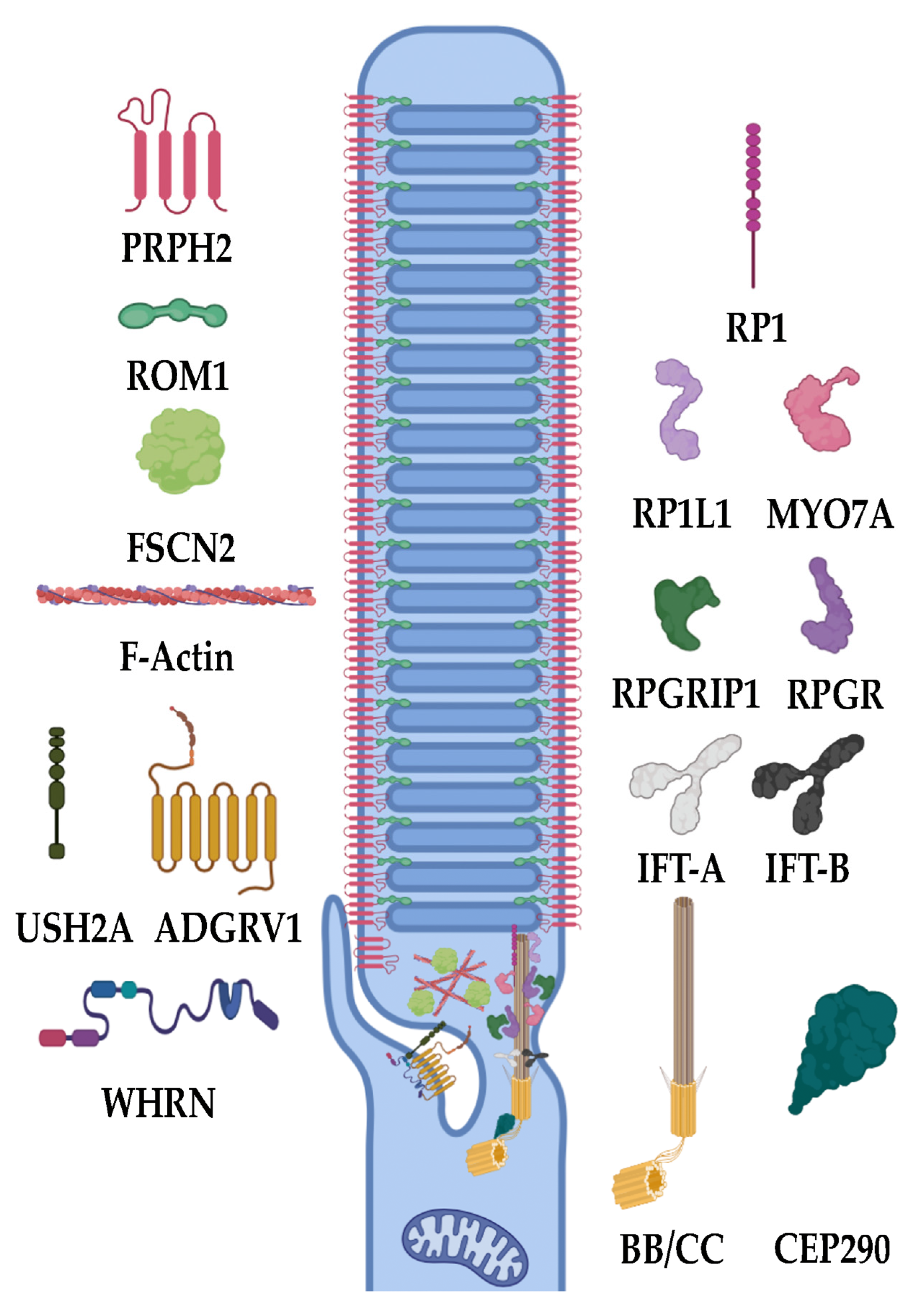 Biomolecules 13 00271 g004