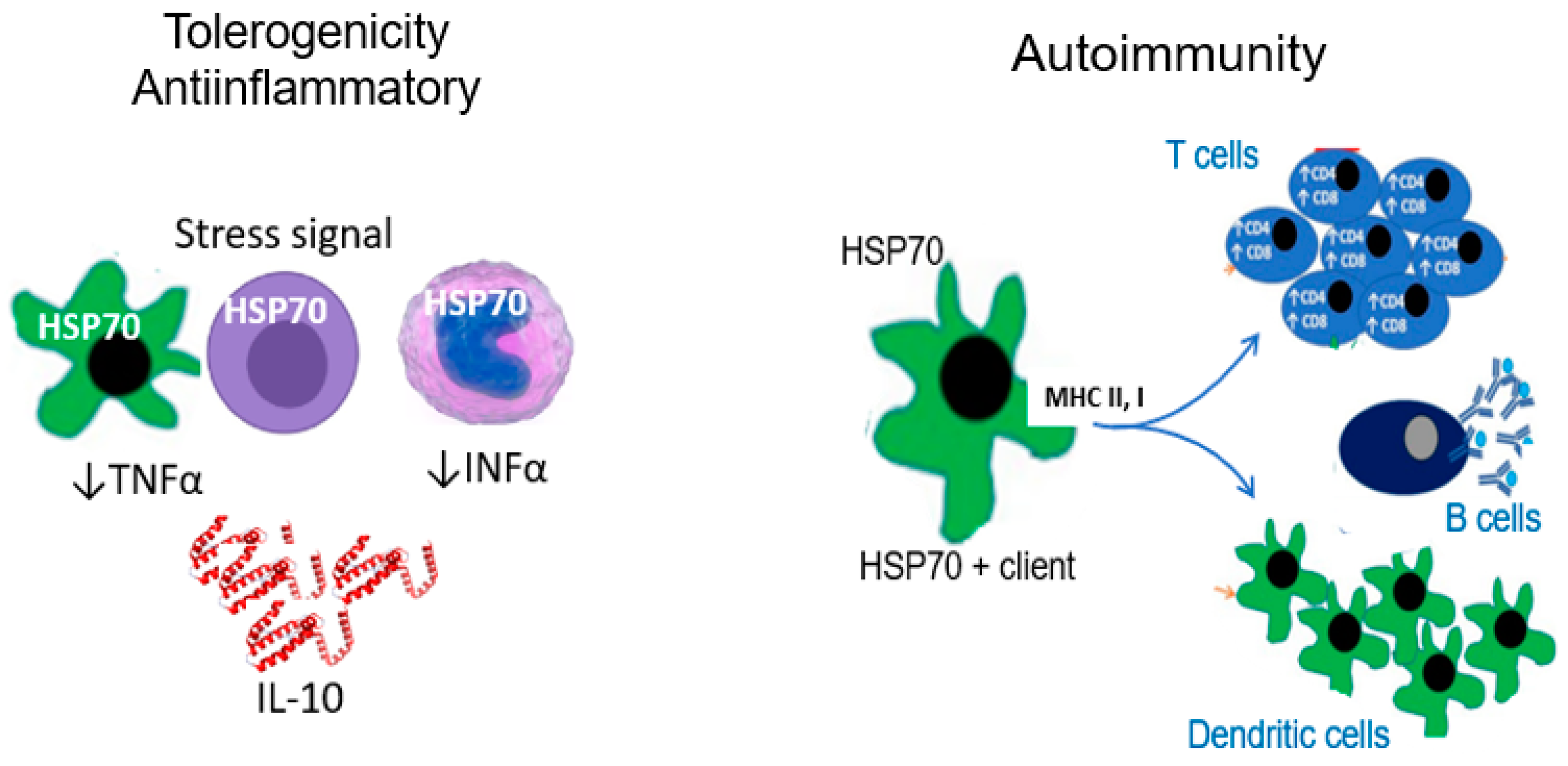 Biomolecules 13 00272 g001