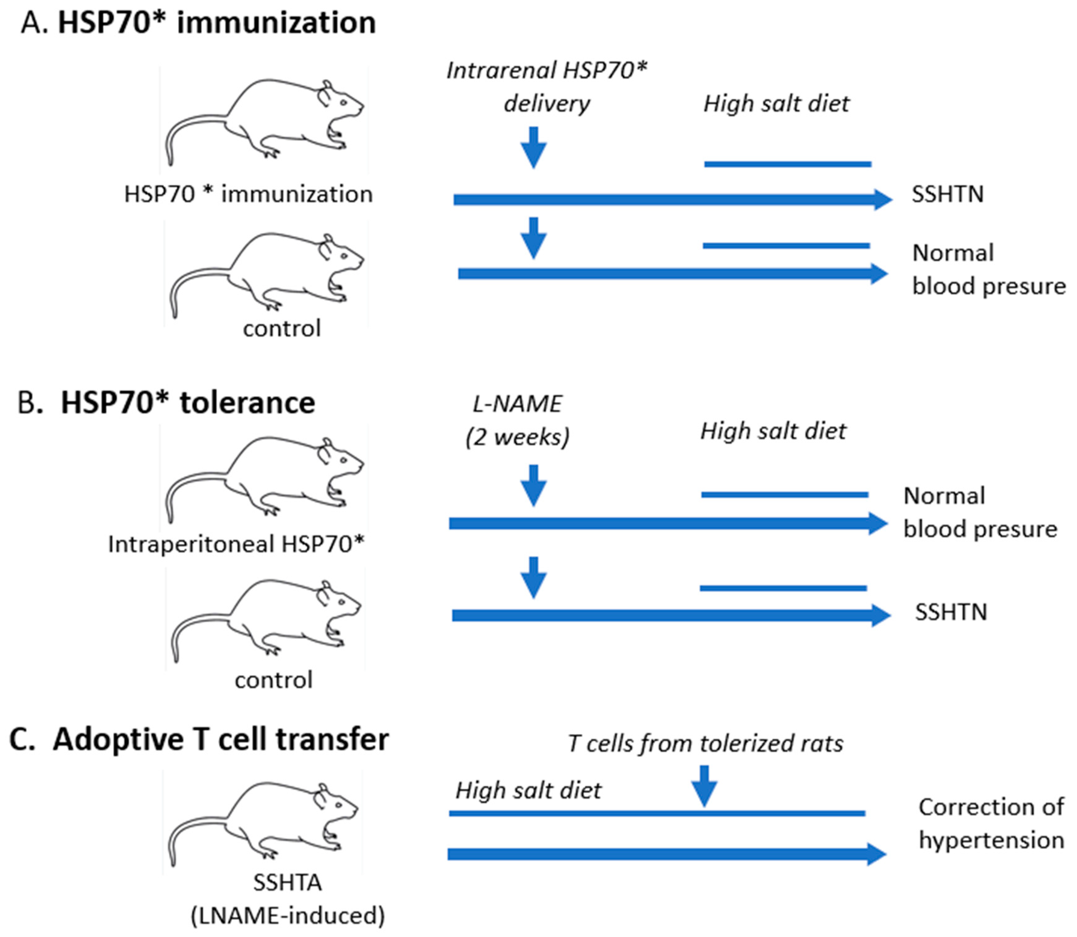 Biomolecules 13 00272 g003