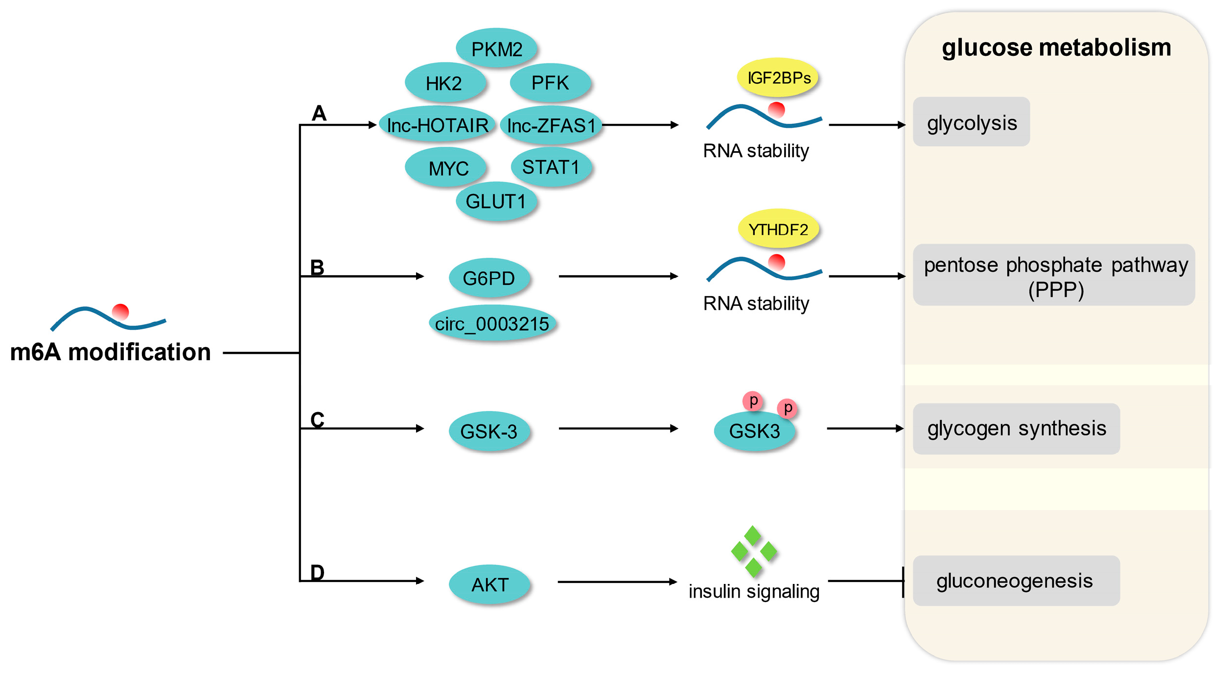 Biomolecules 13 00273 g001