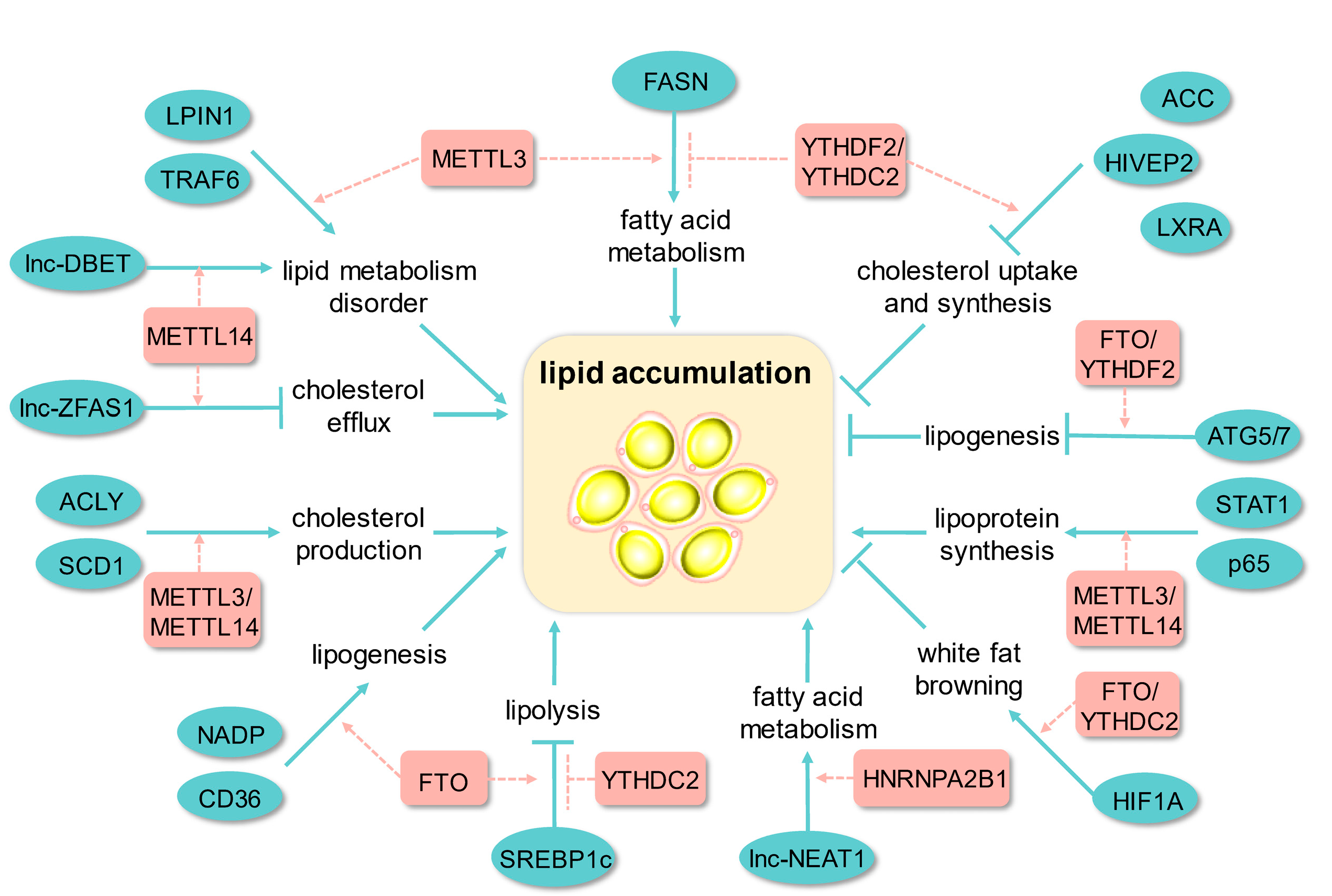 Biomolecules 13 00273 g002