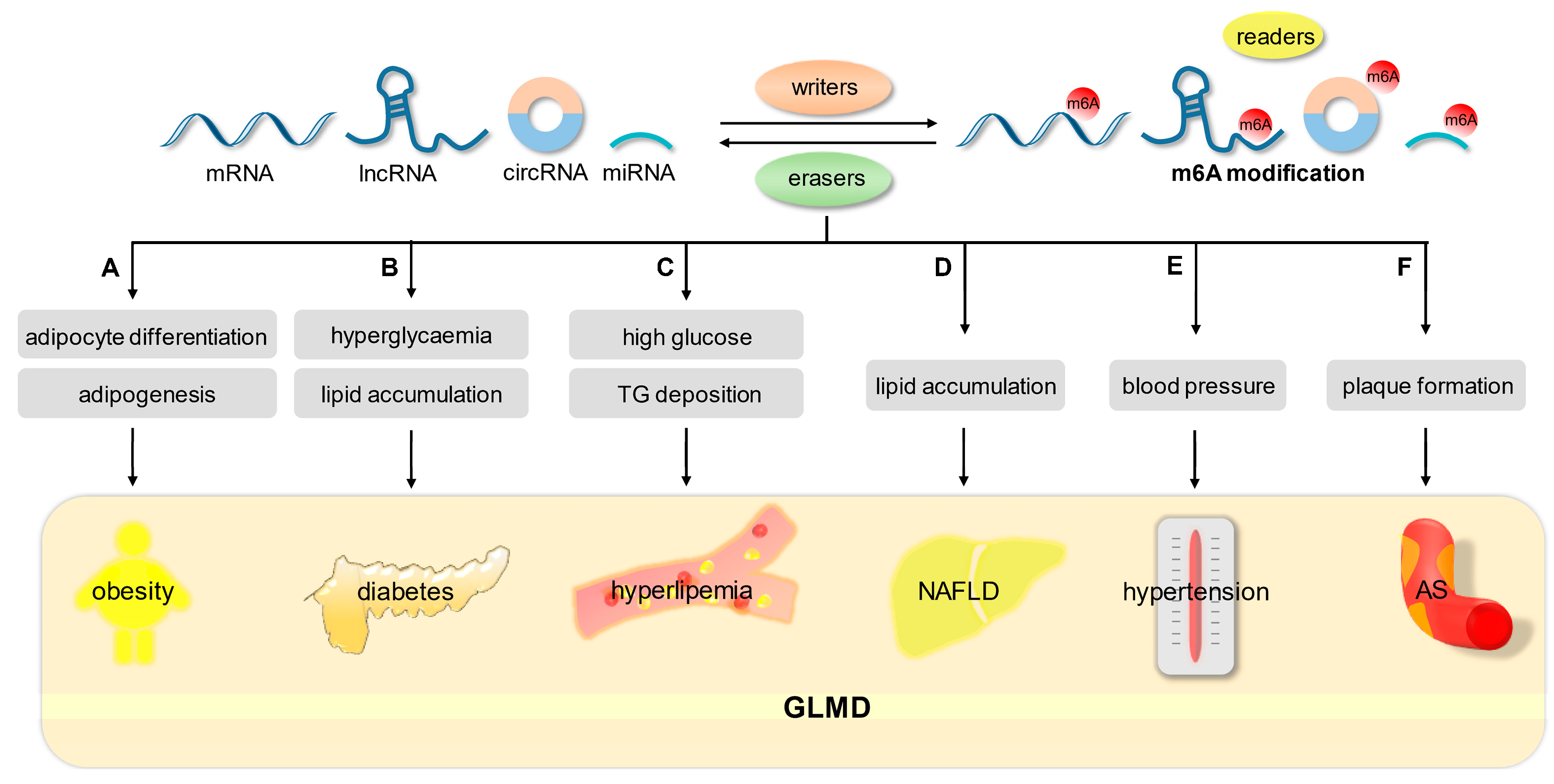 Biomolecules 13 00273 g003