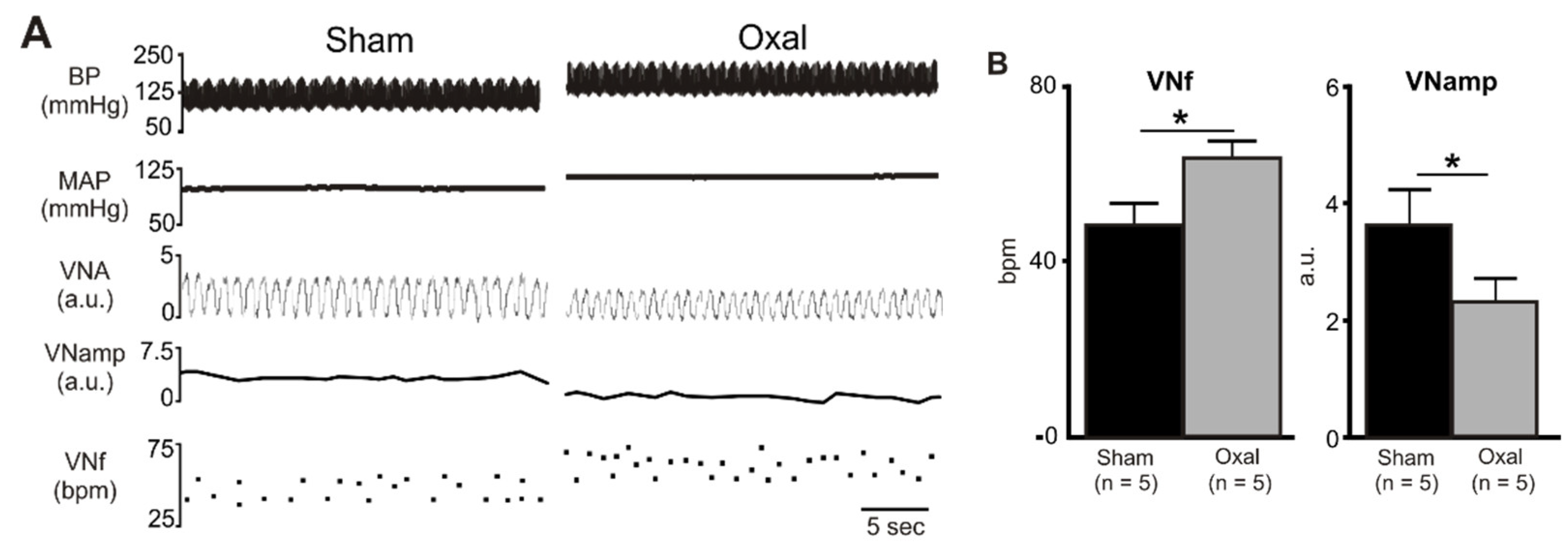 Biomolecules 13 00276 g005