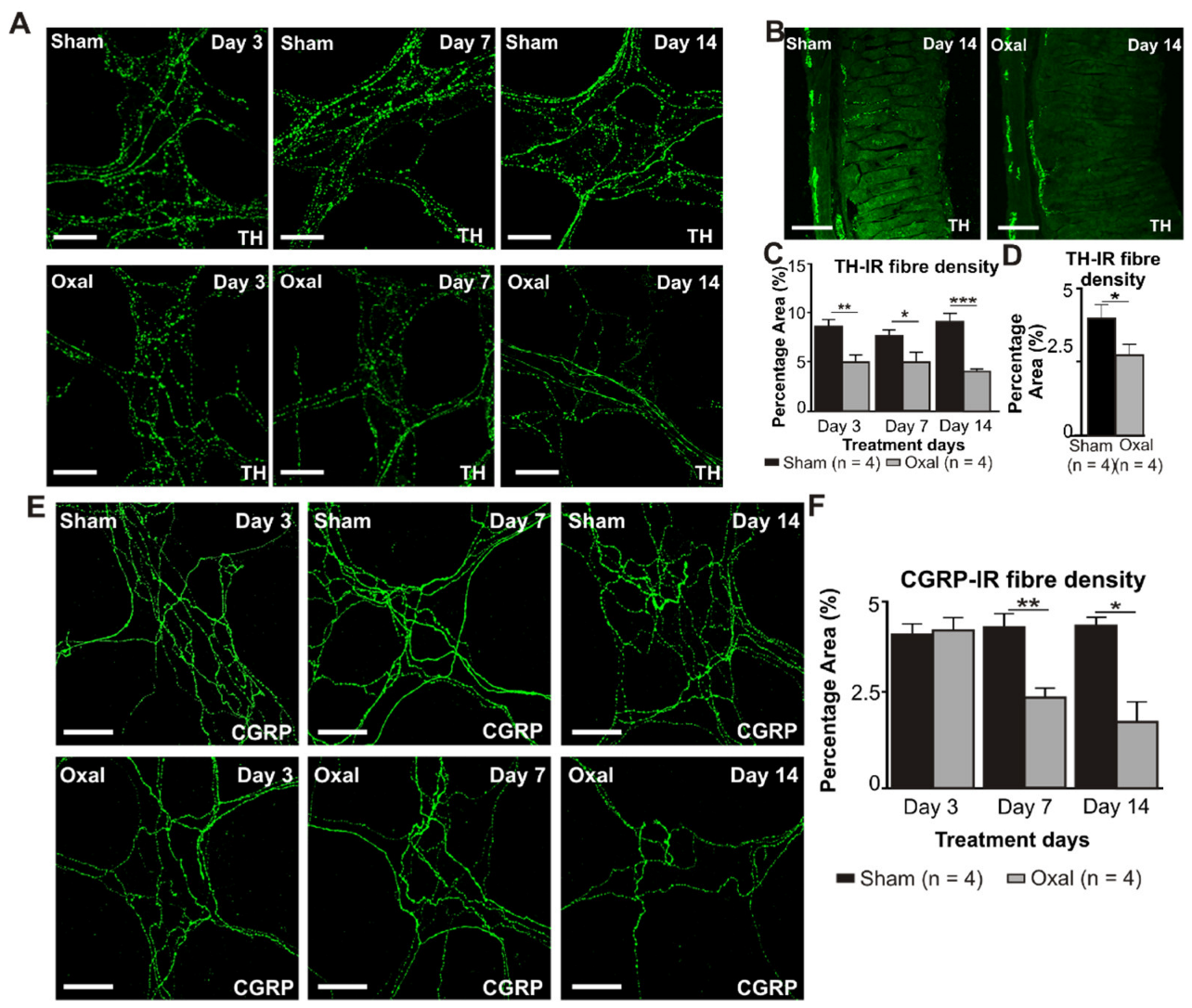 Biomolecules 13 00276 g006