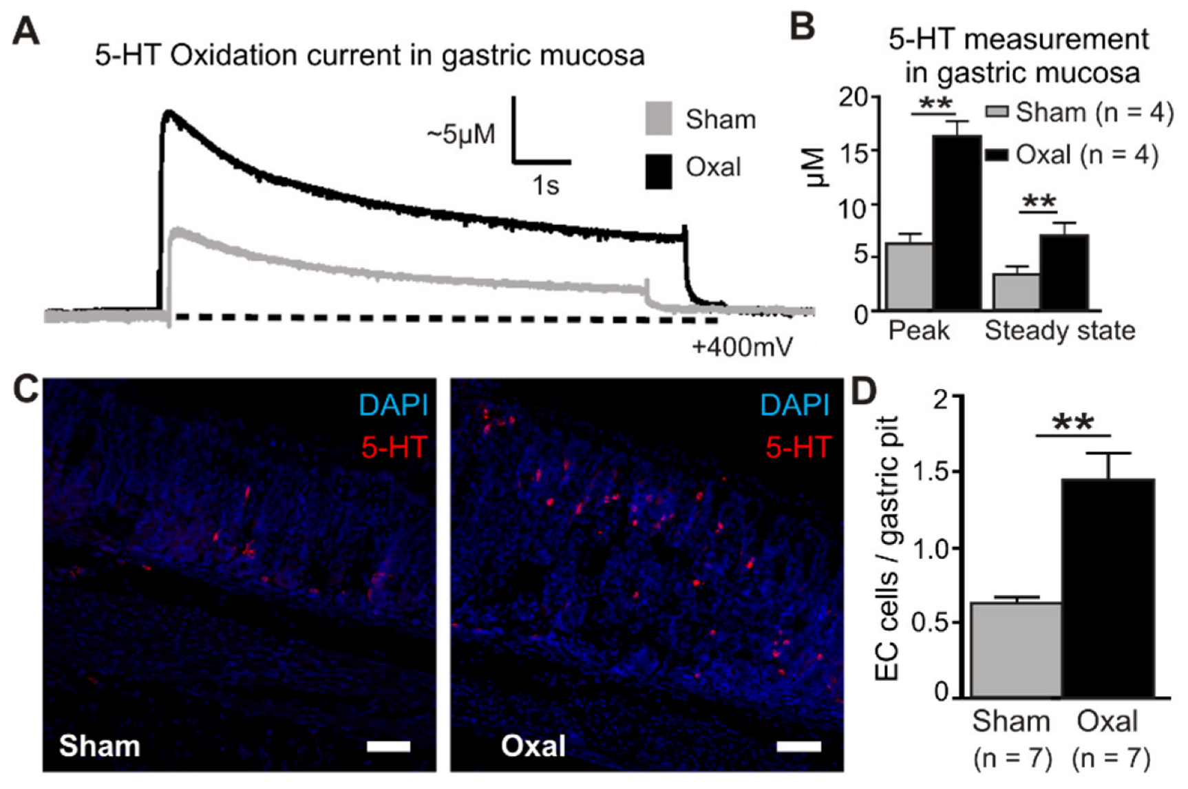 Biomolecules 13 00276 g007