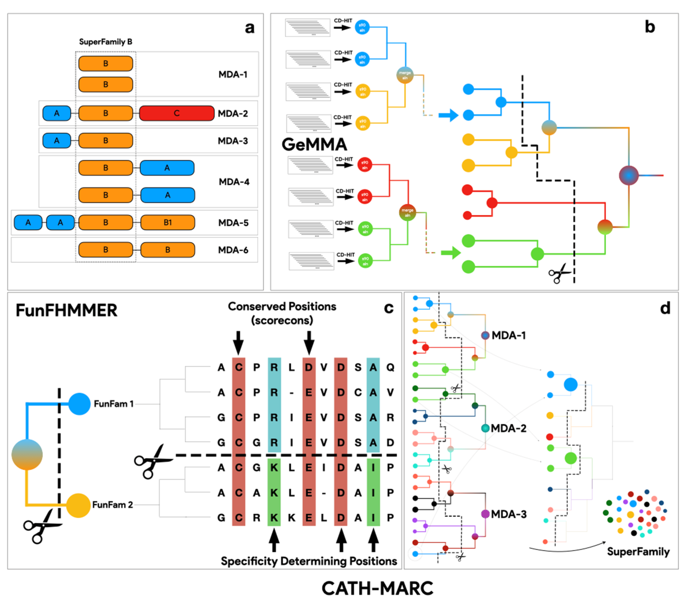 Biomolecules 13 00277 g002