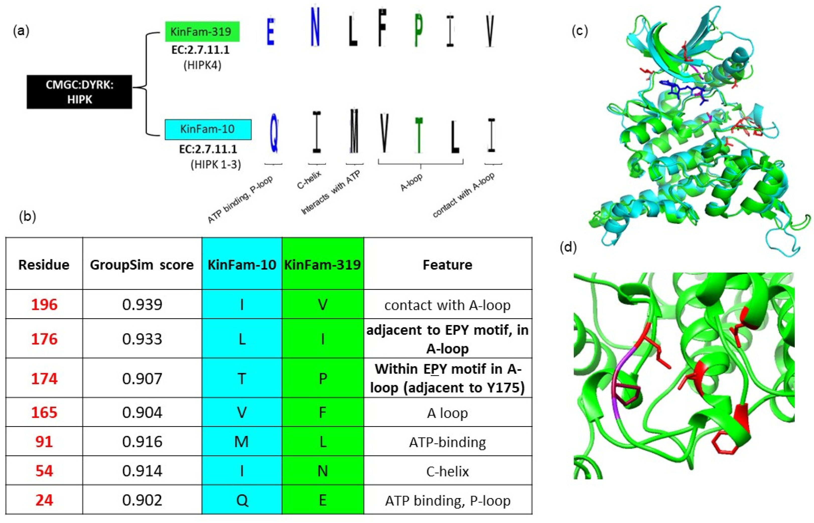Biomolecules 13 00277 g010