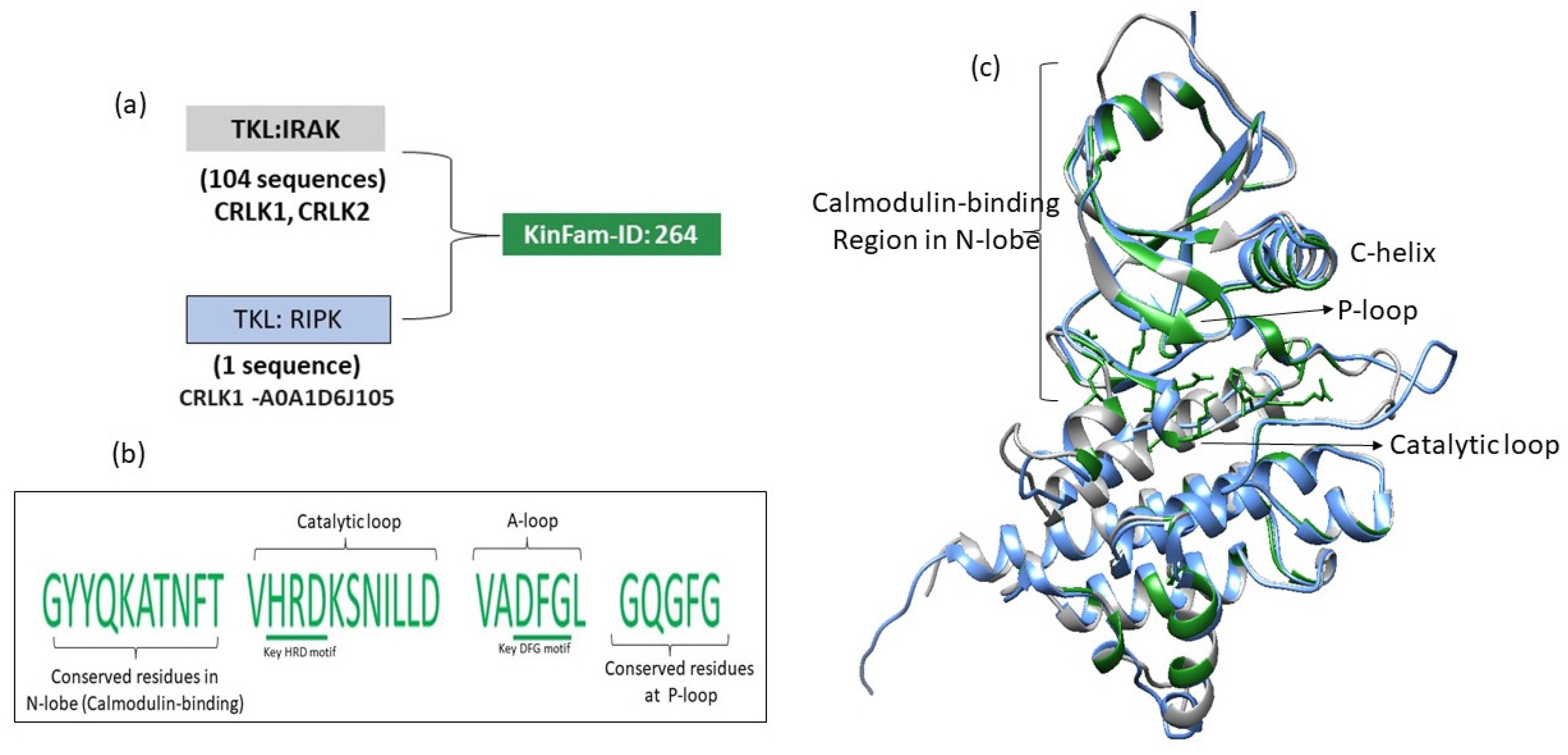 Biomolecules 13 00277 g011