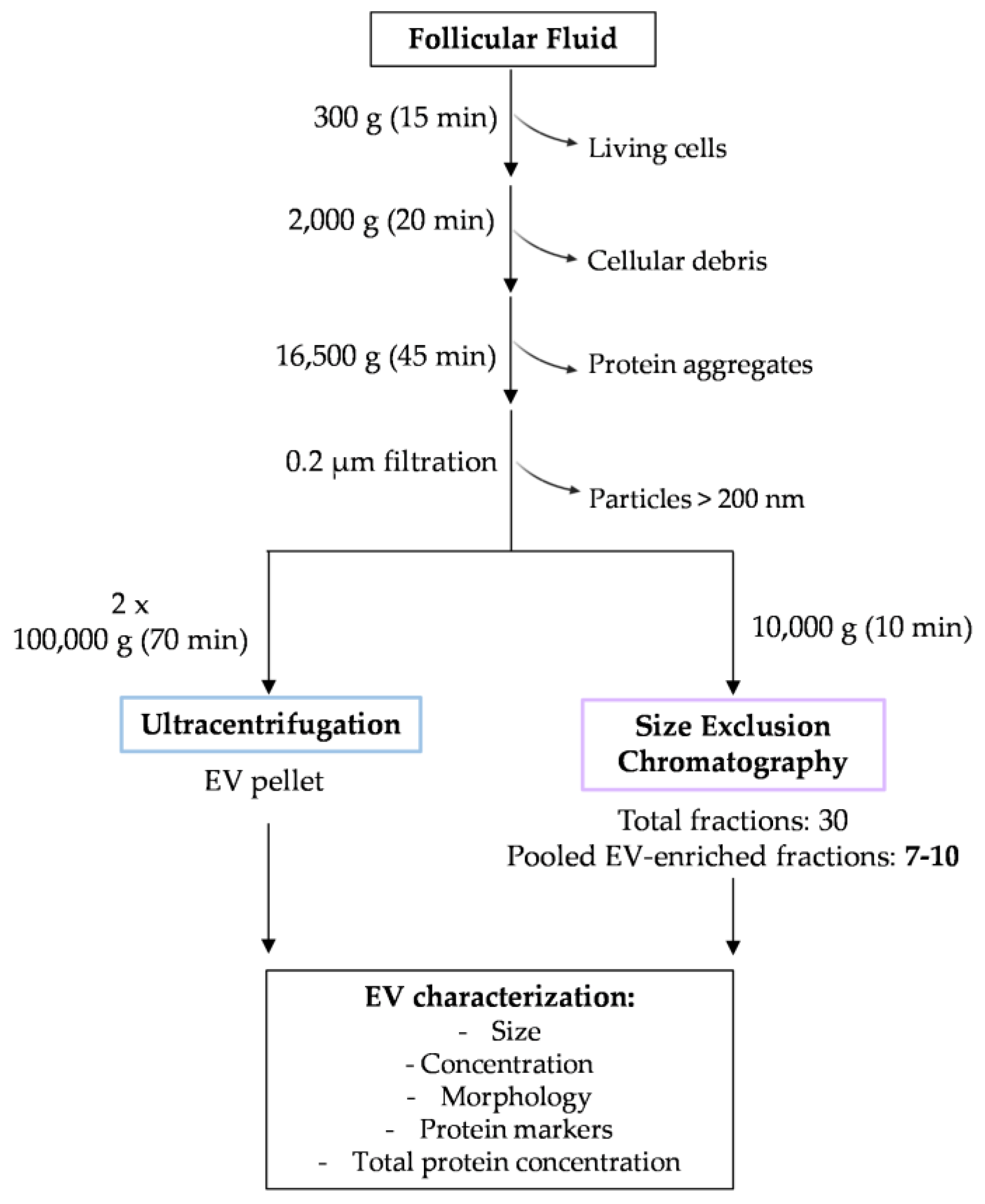 Biomolecules 13 00278 g001