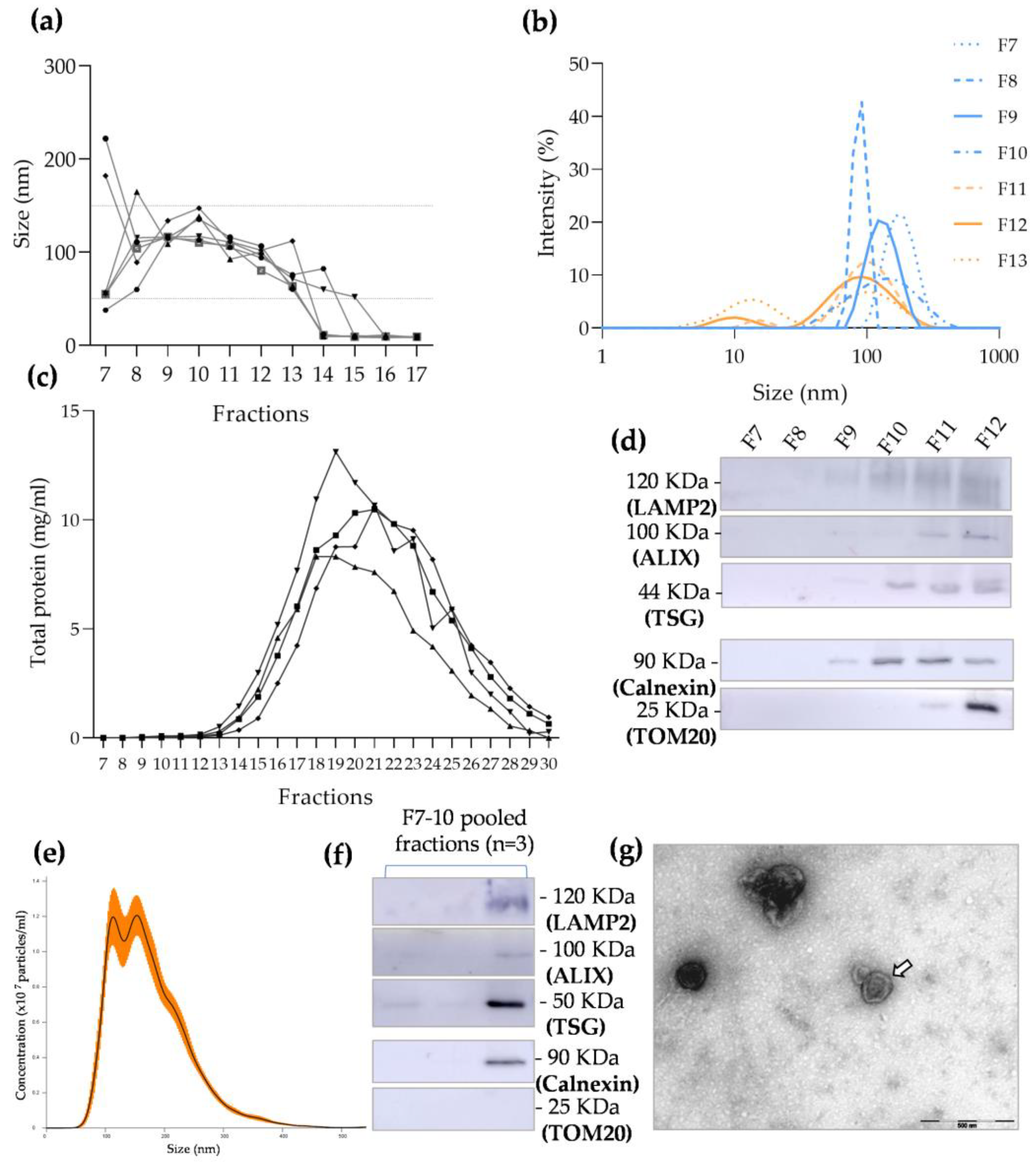 Biomolecules 13 00278 g003