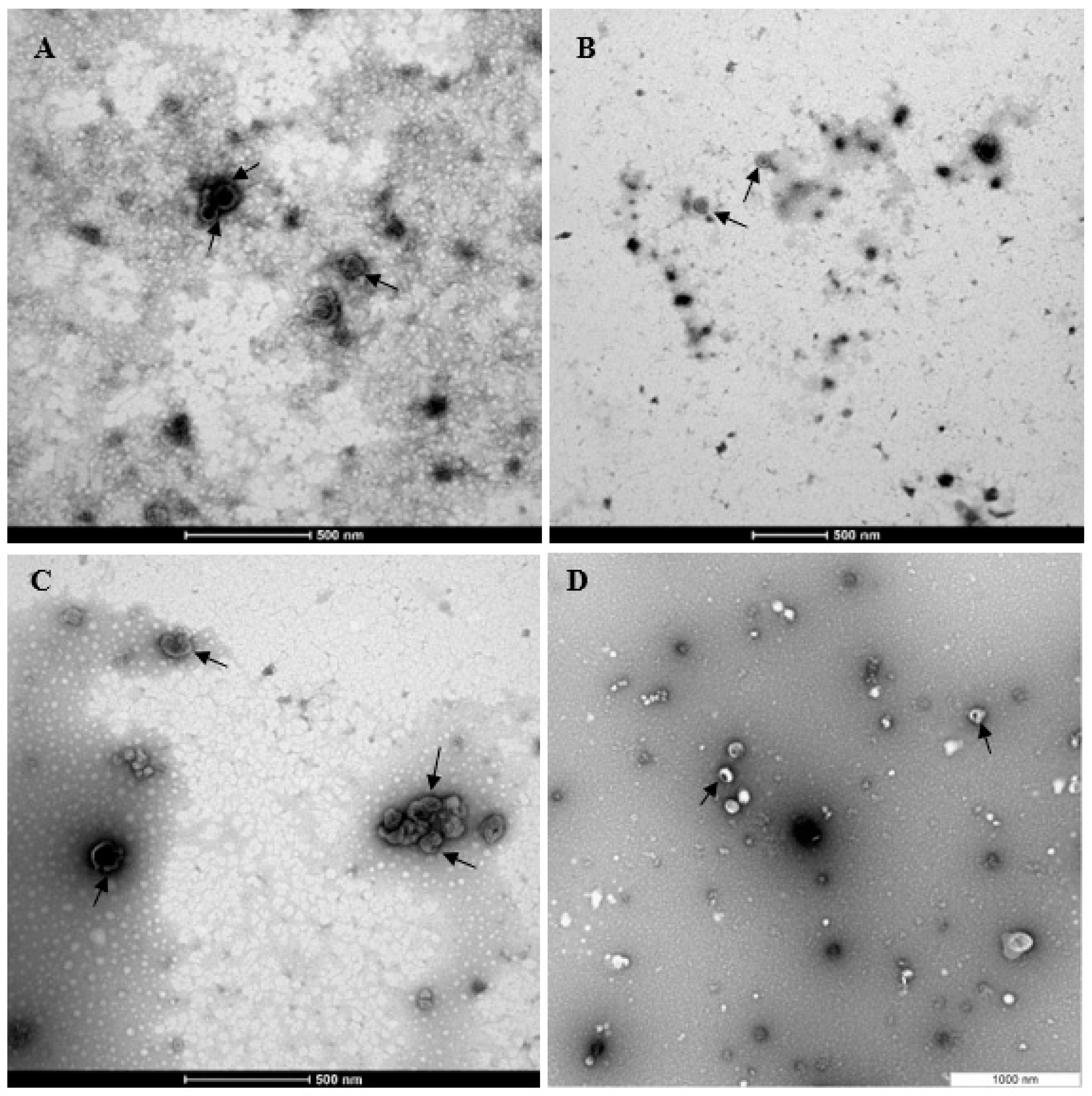 Biomolecules 13 00279 g003