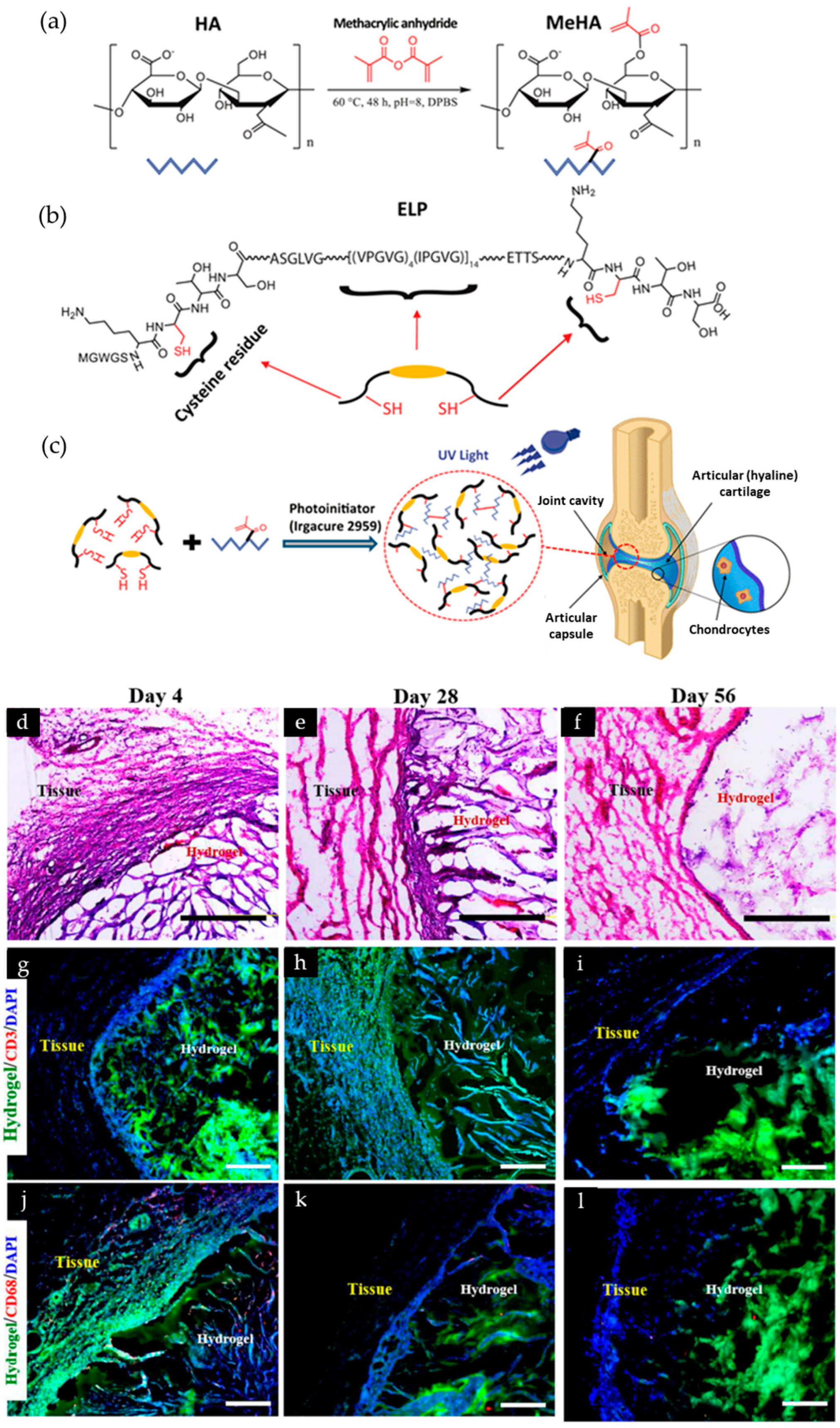 Biomolecules 13 00280 g002