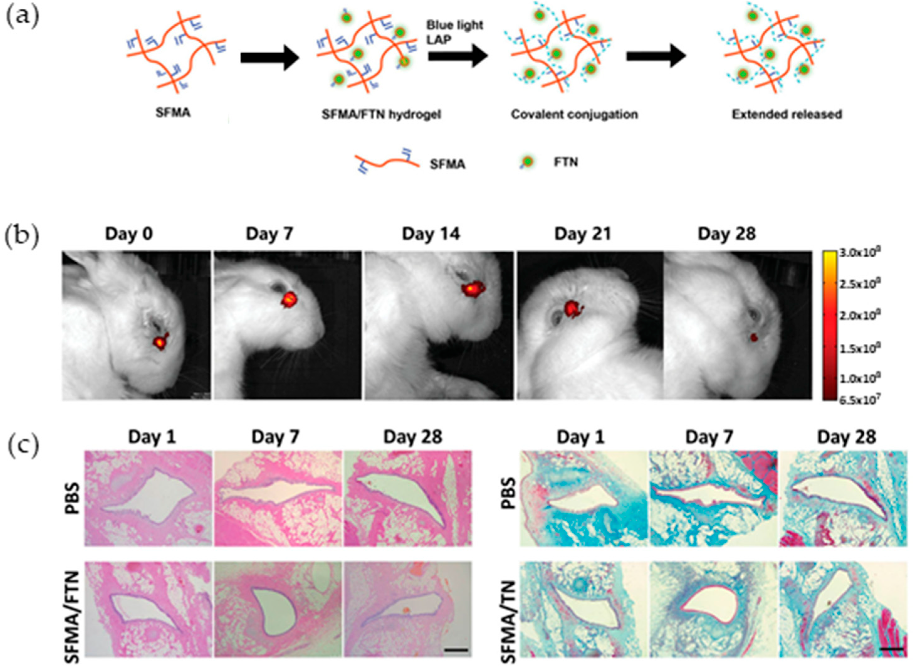 Biomolecules 13 00280 g003