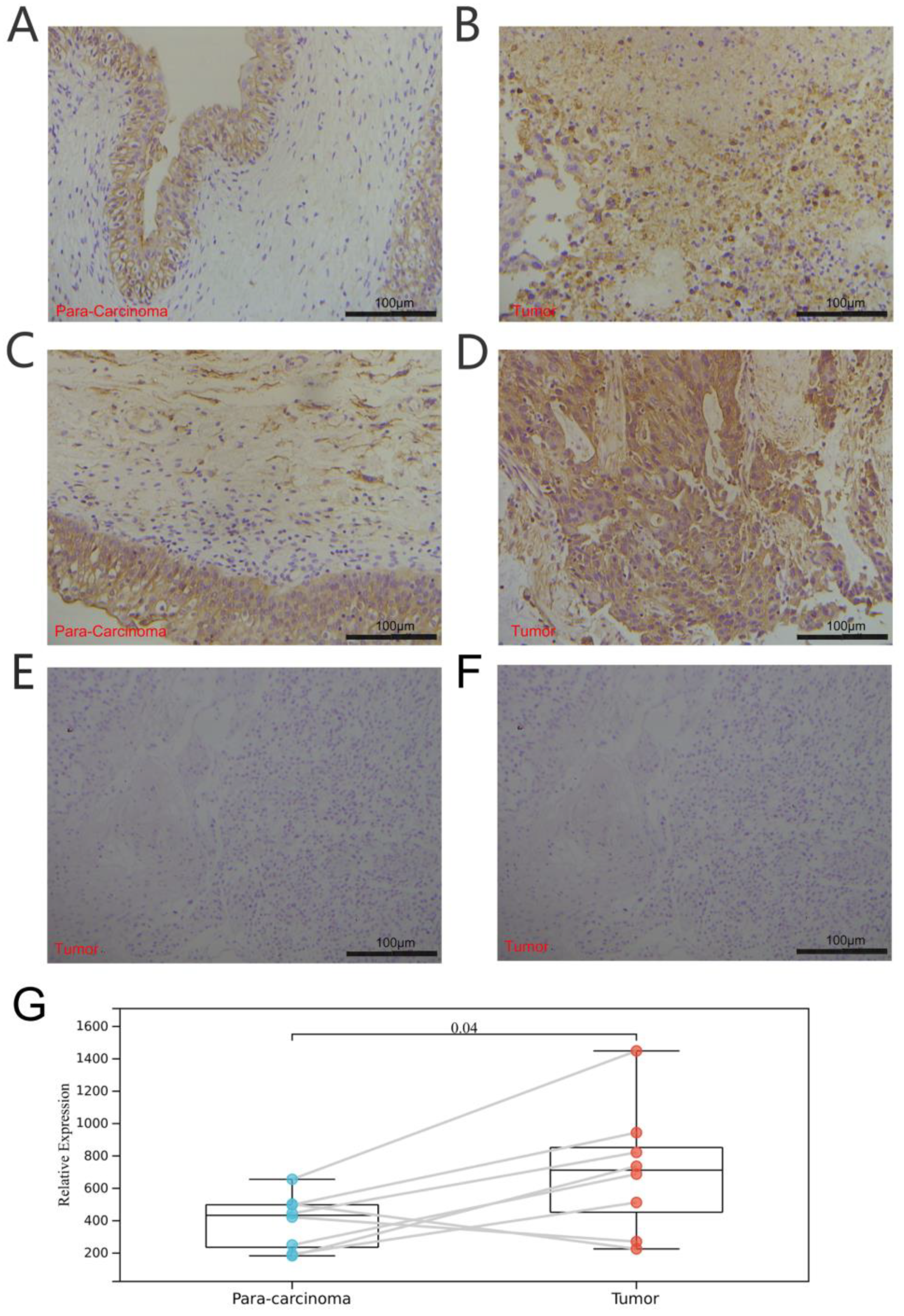 Biomolecules 13 00282 g011
